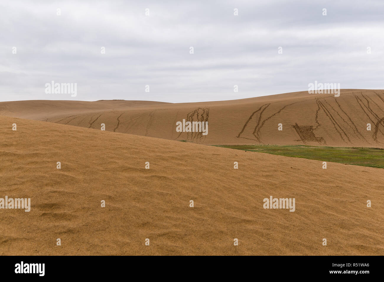 Les dunes de sable de Tottori au Japon Banque D'Images