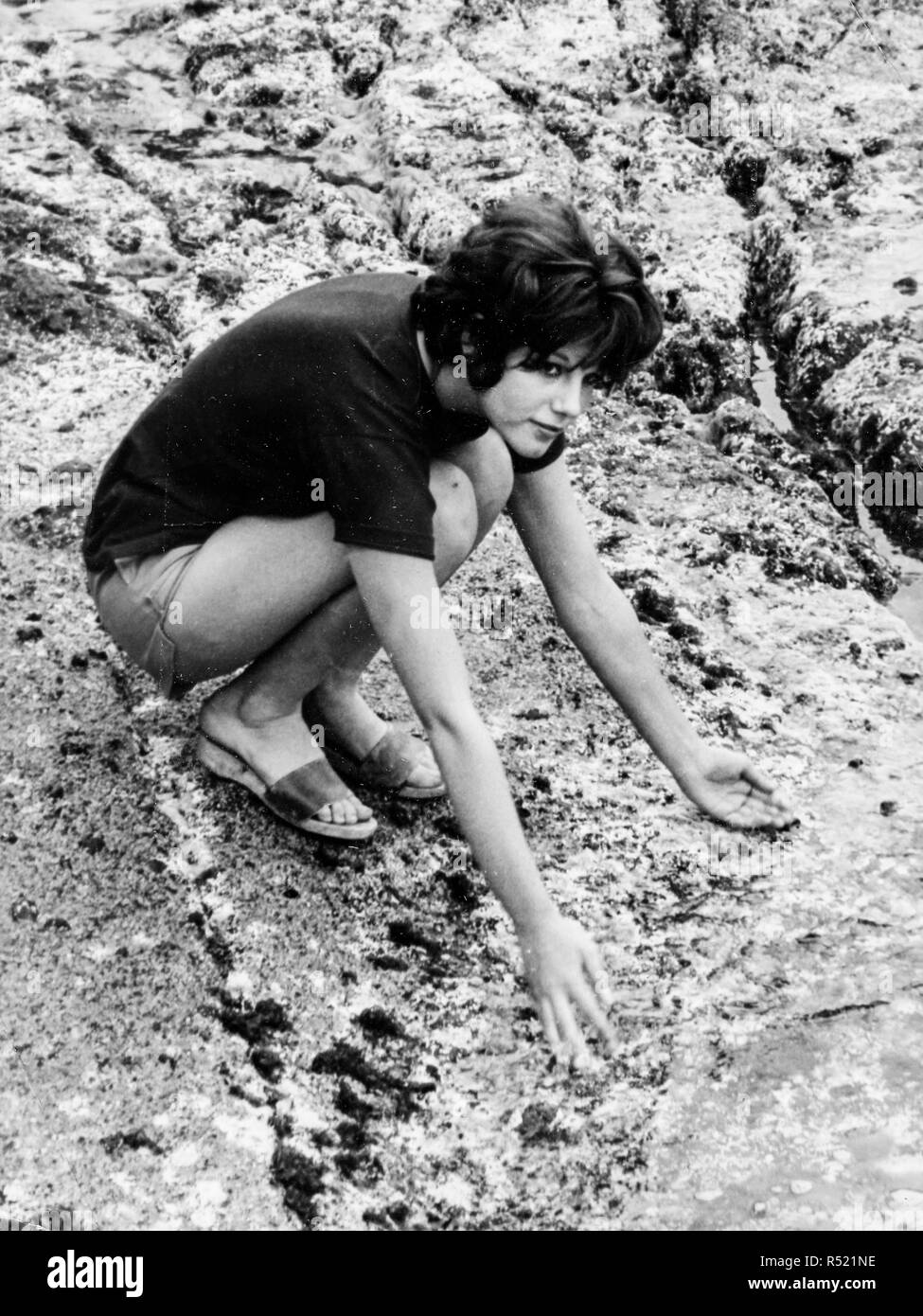 Stefania Sandrelli Banque d'image et photos Alamy