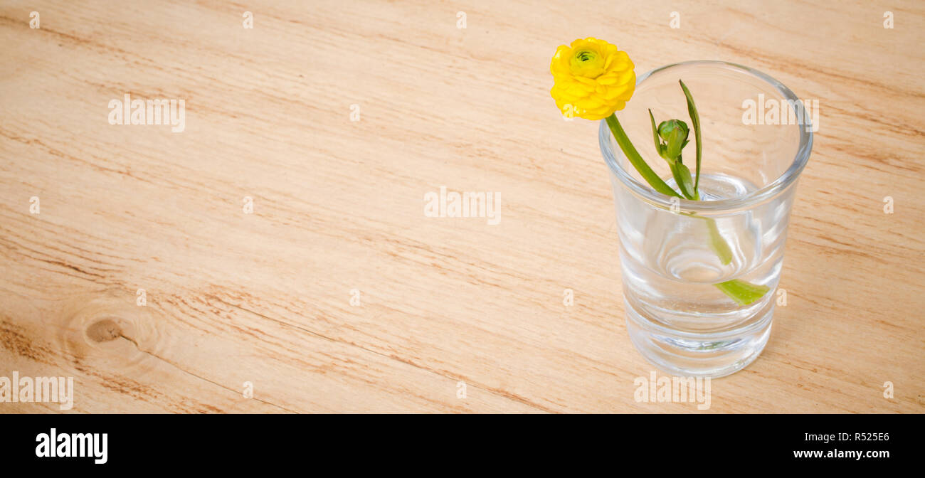 Les fleurs de printemps dans les verres sur une table en bois. Banque D'Images