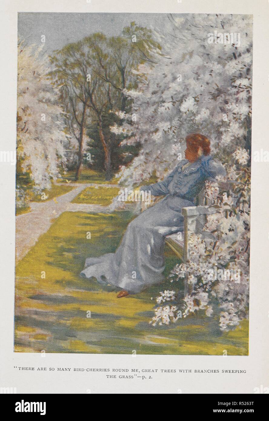 "Il y a tellement de cerises d'oiseaux autour de moi, de grands arbres avec des branches balayant l'herbe.' Une womam assis dans un jardin. Elizabeth et son jardin allemand / illustré par S. H. Vedder. London : Macmillan & Co., 1906. Source : 012640.bb.9 frontispice. Auteur : VEDDER, SIMON HARMON. ELIZABETH von ARNIM. Banque D'Images