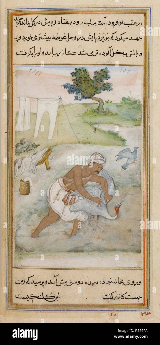 Blanchisseur et une grue. L'Anvar-i Suhayli. L'Inde, 1610-1611. Le blanchisseur et de la grue. Une peinture miniature d'un manuscrit du 17ème siècle de l'Anvar-i Suhayli, une version de l'Kalila va Dimna fables. Image prise à partir de l'Anvar-i Suhayli. Publié à l'origine/produit en Inde, 1610-1611. . Source : ajouter. 18579, f.350v. Langue : Persan. Auteur : MADHU. Husayn Va'iz Kashifi. Banque D'Images