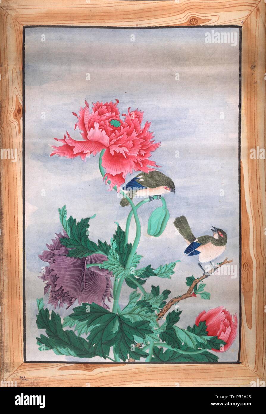 Deux Oiseaux Des Fleurs Albums De Hastings 1875 1900 L