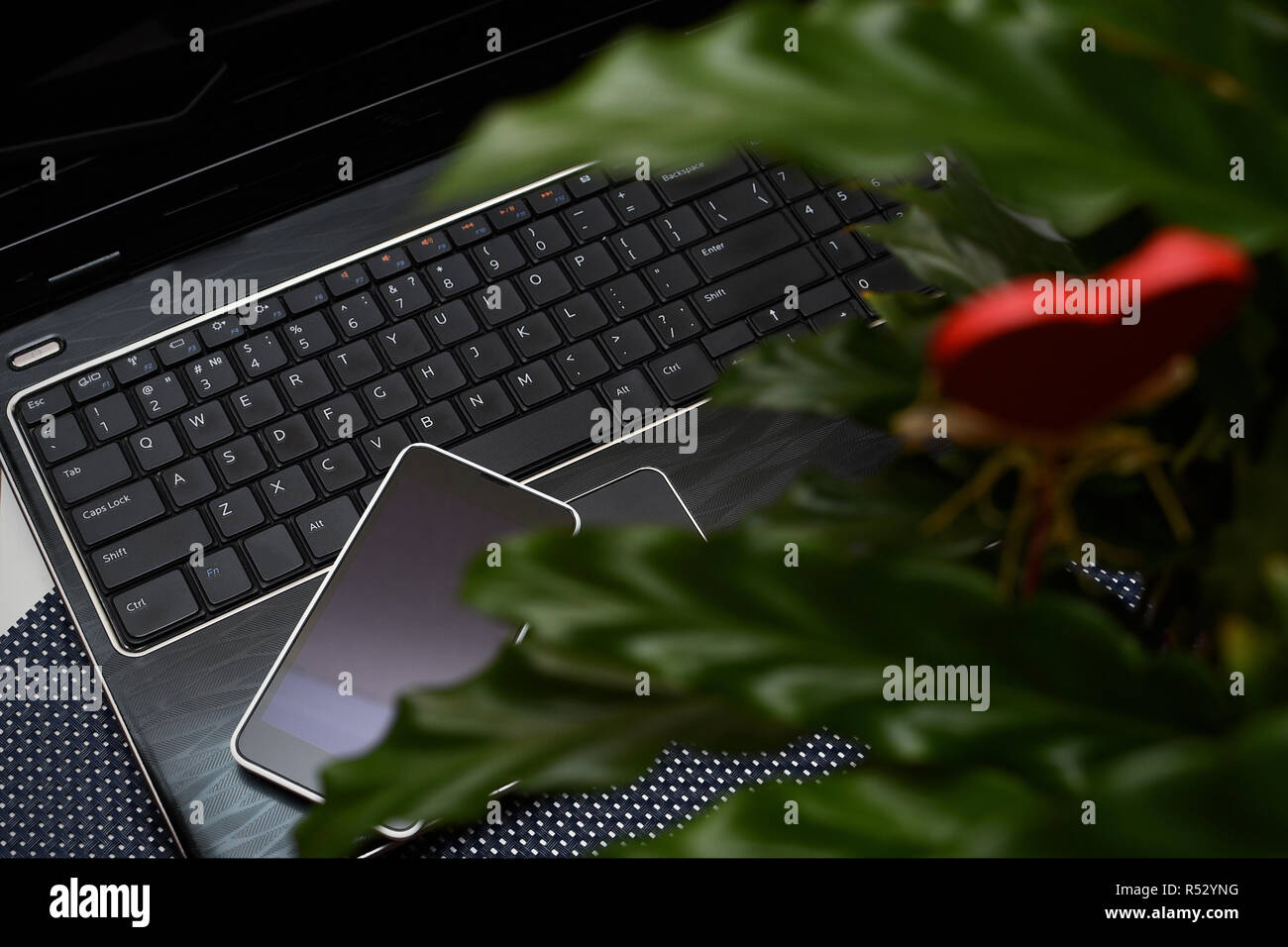 Portable, smartphone et red love heart Banque D'Images