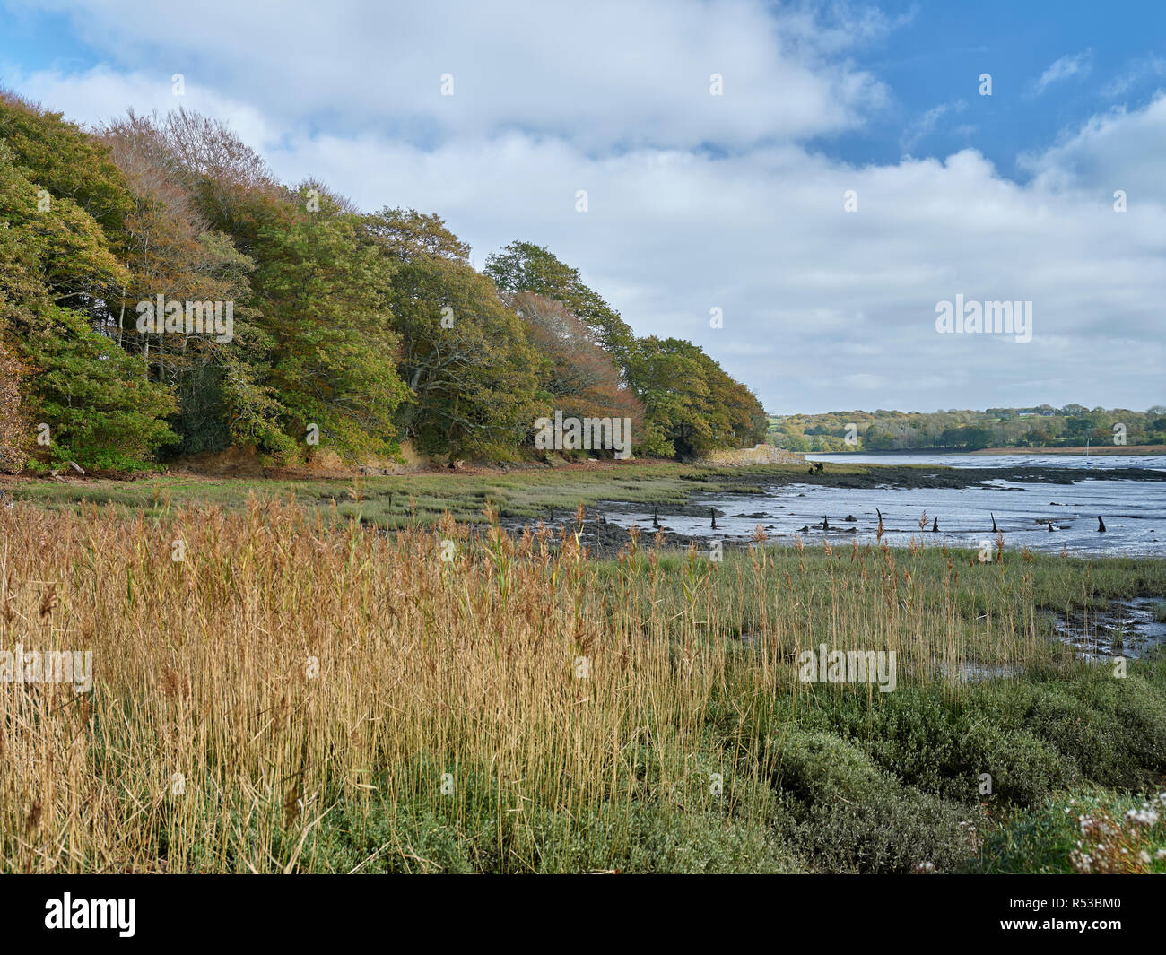 Point de Picton, Pembrokeshire, Pays de Galles Banque D'Images