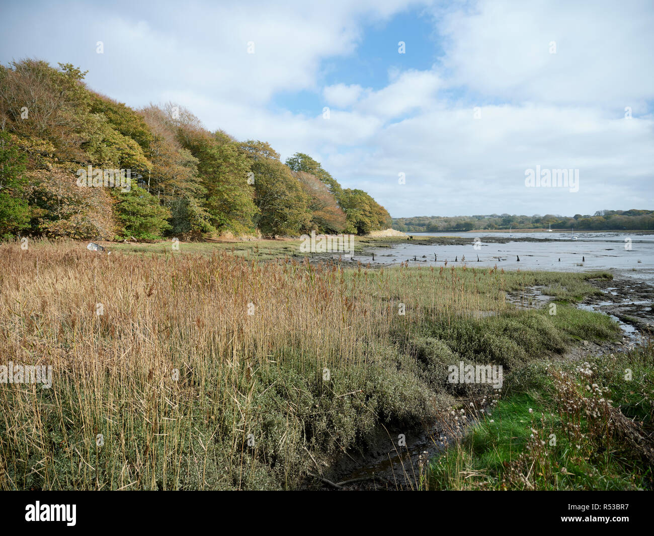 Point de Picton, Pembrokeshire, Pays de Galles Banque D'Images