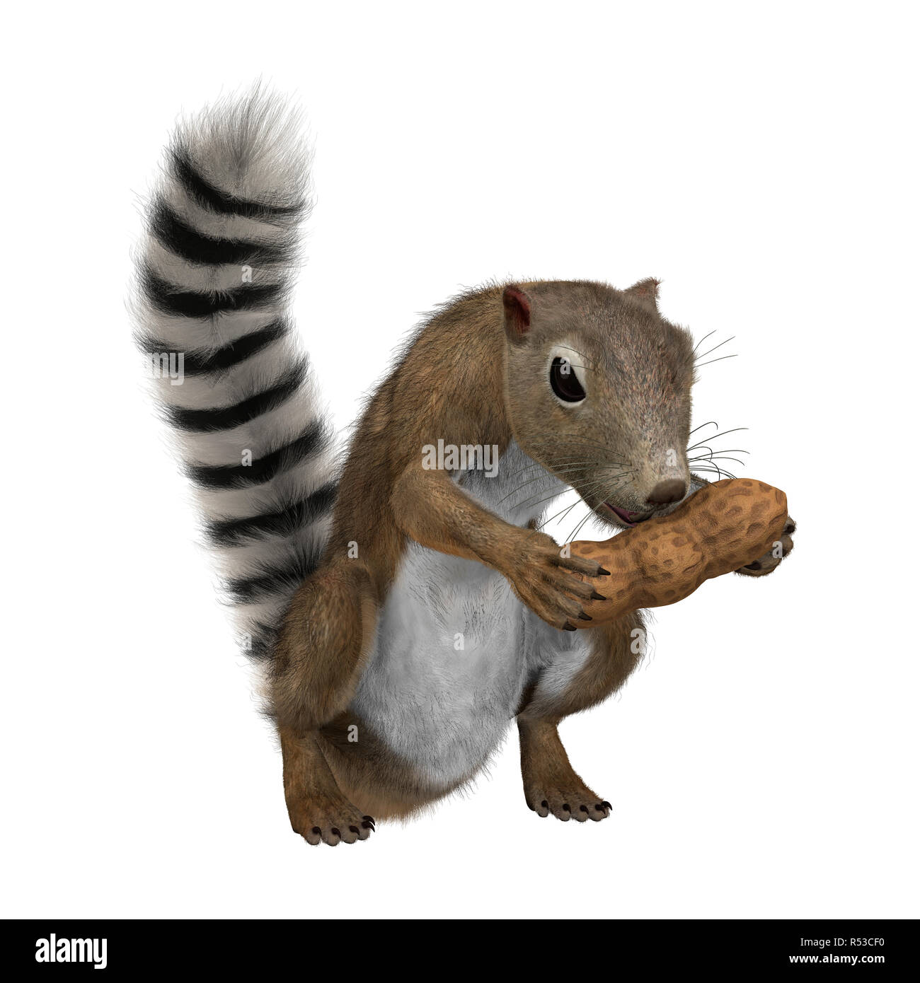 Le Rendu 3D Sun gambien sur l'Écureuil blanc Banque D'Images