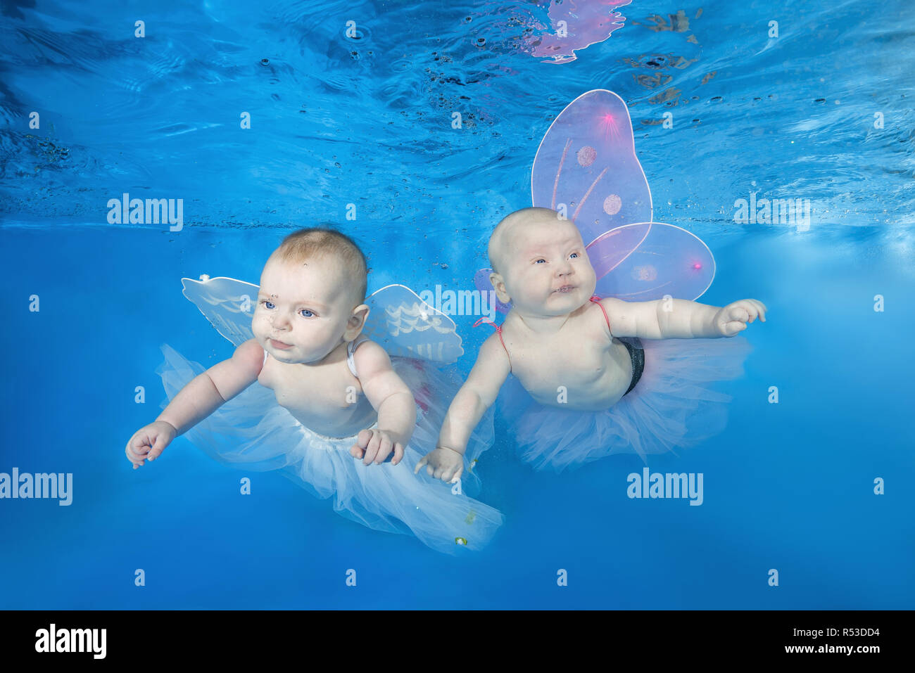 Deux Petites Fees Sous L Eau Deux Petits Bebe Apprend A Nager Sous L Eau Deux Bebes Nageurs Sous L Eau Dans La Piscine Sur Un Fond De L Eau Bleu Photo Stock Alamy