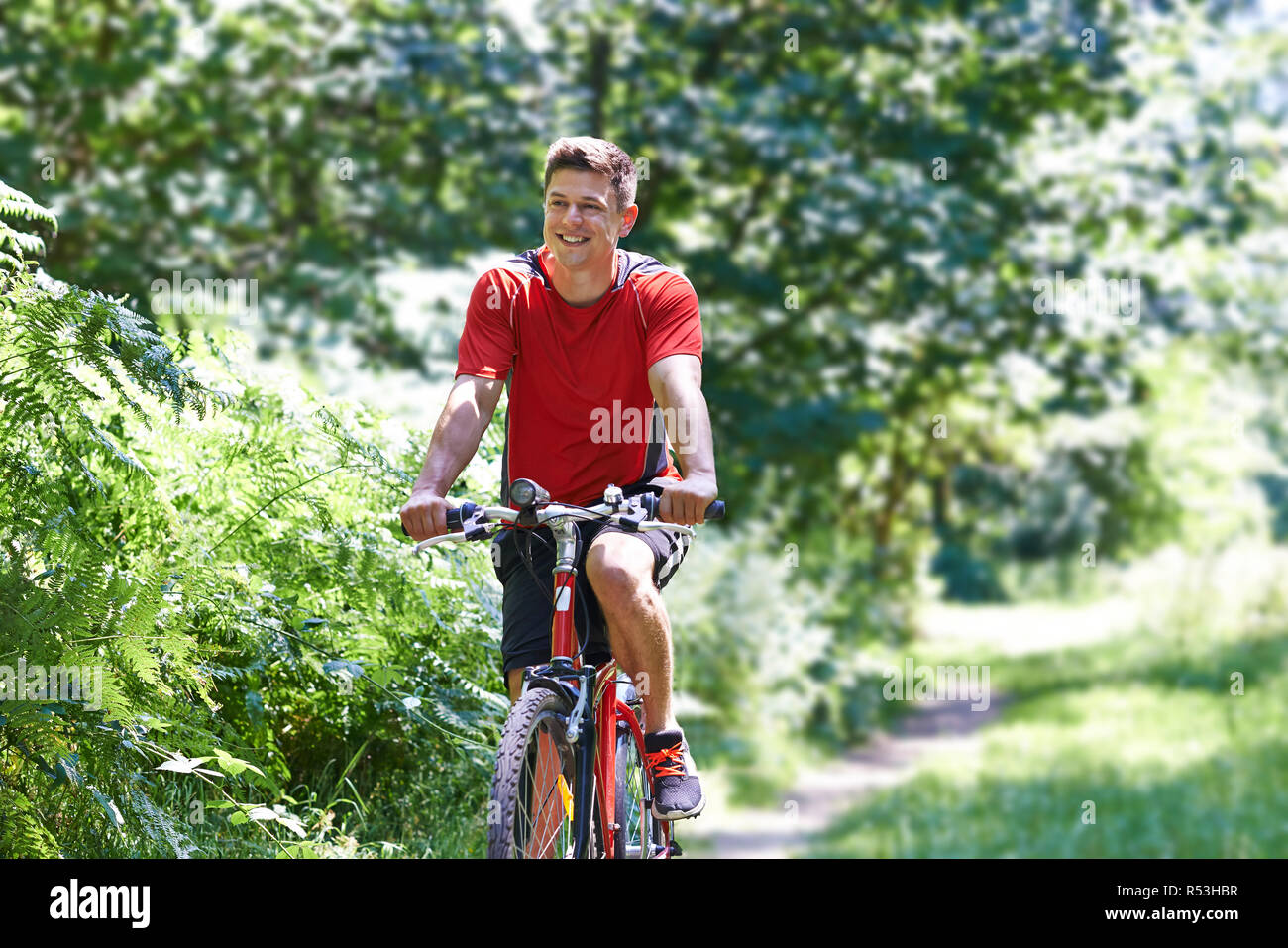 Homme actif à vélo le long chemin dans la campagne Banque D'Images