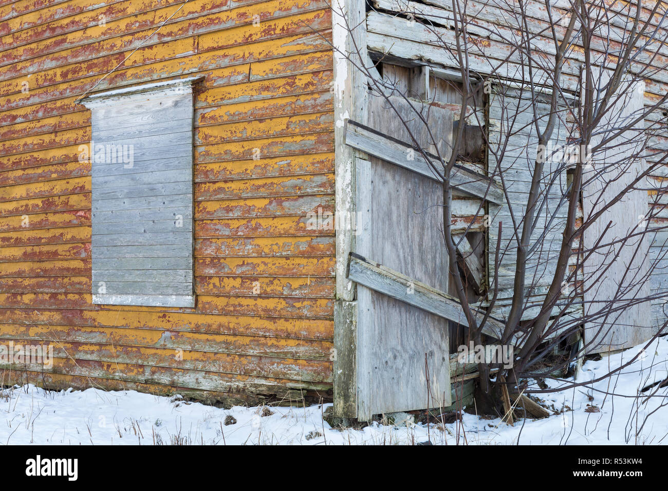 Maison en bois abandonnée avec la plantation d'arbres hors de wall Banque D'Images