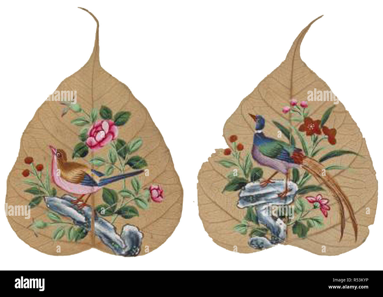 Vintage oiseaux chinois oriental illustration Banque D'Images