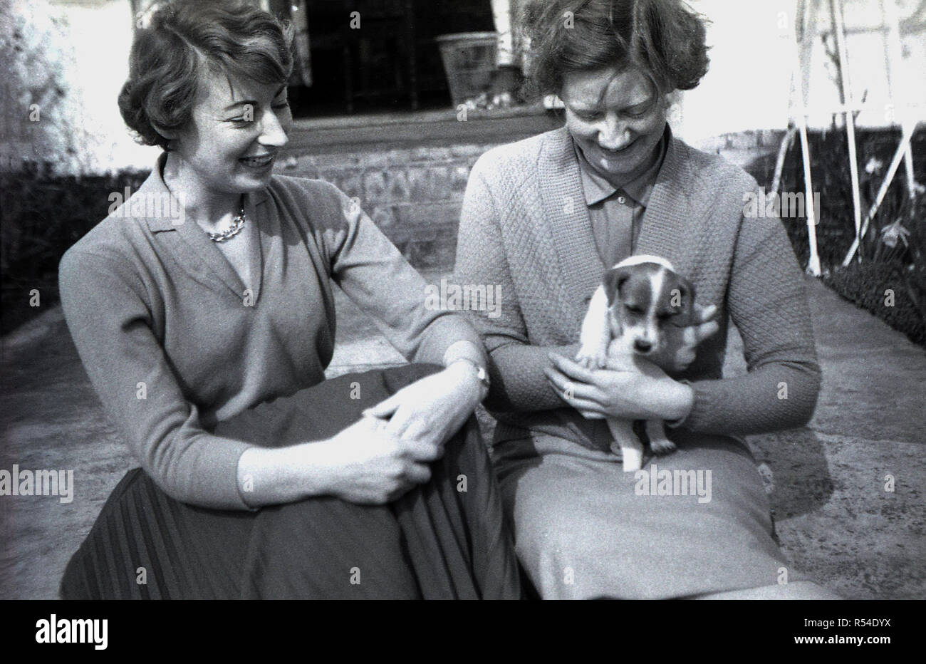 Années 1950, deux élégantes, dresse les jeunes femmes, l'une à jupe plissée et top en laine - éventuellement - soeurs assis ensemble dans un jardin à l'arrière, l'un tenant un petit chien, un Jack Russell Terrier, England, UK. Banque D'Images