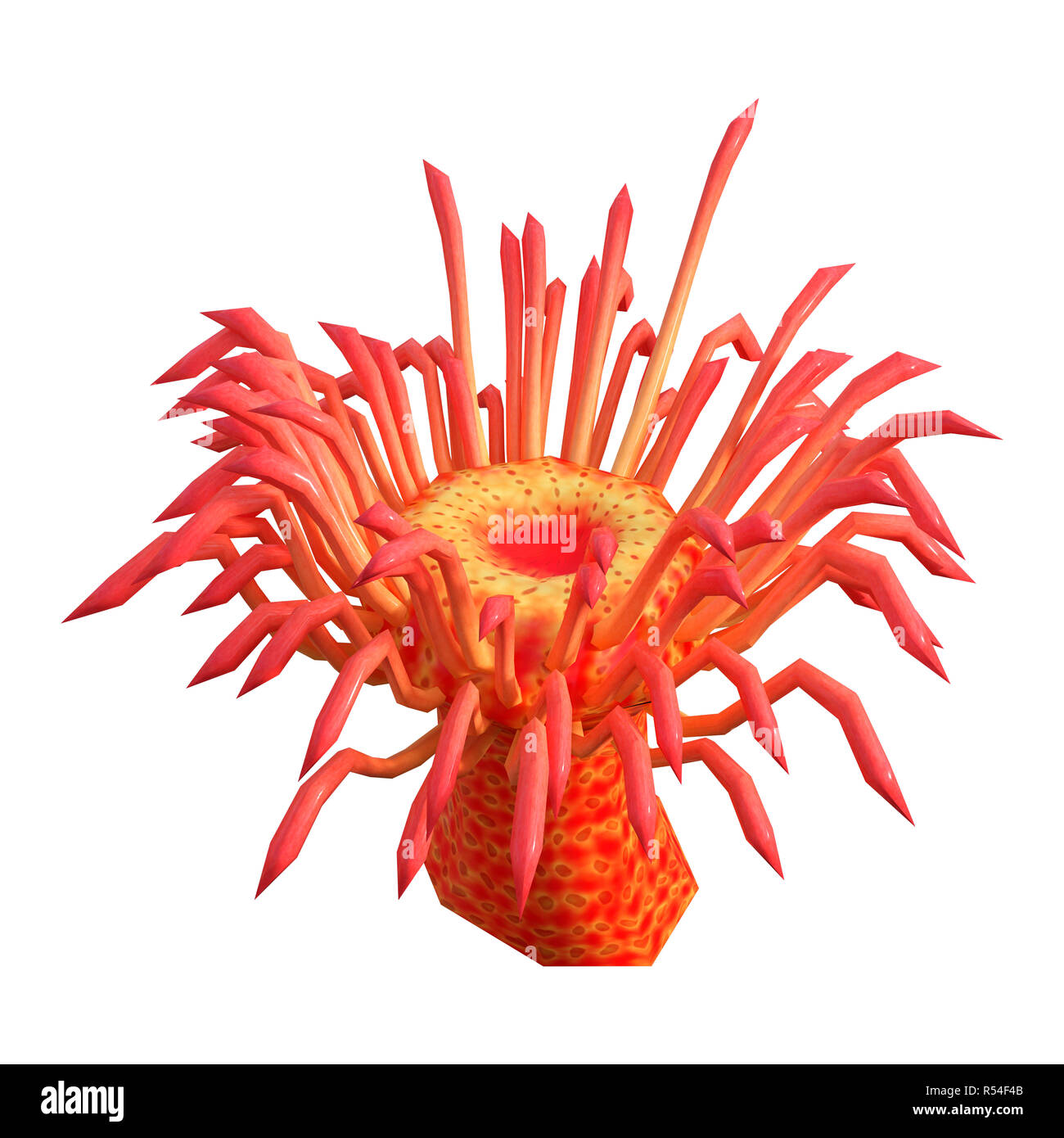 Le rendu 3D d'une anémone de mer rouge isolé sur fond blanc Banque D'Images