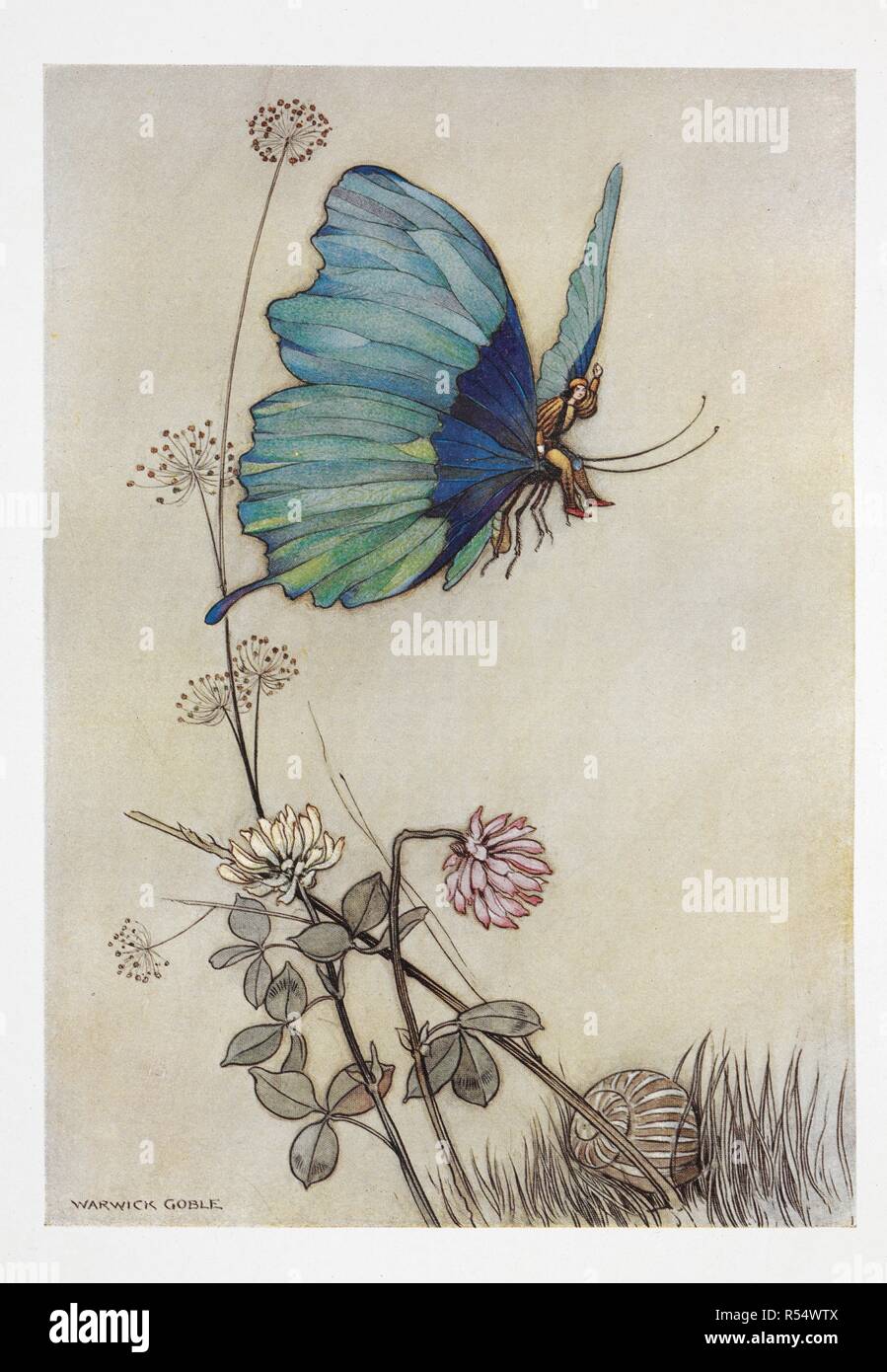 "L'aile de papillon a pris, et monté l'inti avec peu d'air Tom sur son dos." Illustration pour 'Tom Thumb'. Le Livre de fée ... Par l'auteur de "oeJohn Gentlemanâ, Halifax€ [Dinah Maria Craik] avec 32 illustrations en couleurs par Warwick Goble. London : Macmillan & Co., 1913. Source : 12410.s.5 page 91 en face de la plaque. Banque D'Images