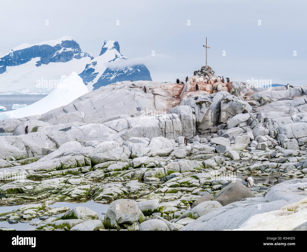 Manchots autour de la commémoration de la British Antarctic Survey, l'Île Petermann, Péninsule Antarctique, l'Antarctique Banque D'Images