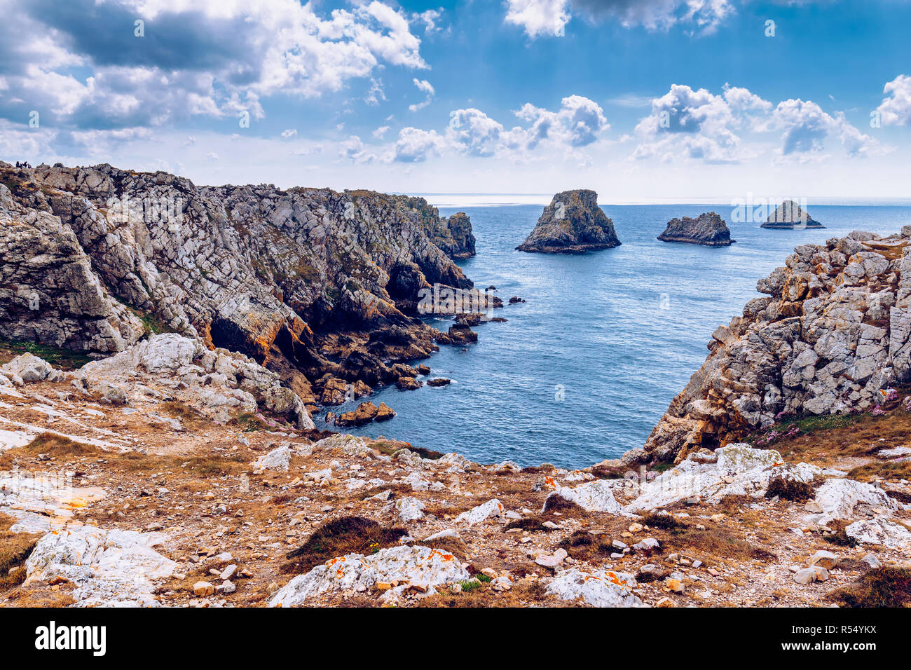 Pointe du Pen-Hir sur la presqu'île de Crozon, Finistère, Camaret-sur-Mer, Parc naturel régional d'Armorique. Bretagne (Bretagne), France. Banque D'Images