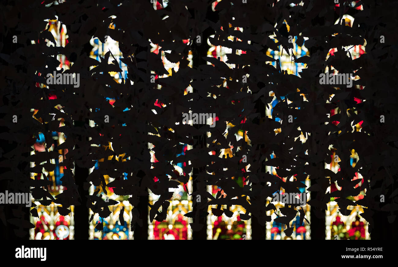 L'installation colombes de la paix par l'artiste Peter Walker à la Cathédrale de Lichfield, Lichfield, West Midlands. Colombes de la paix contient plus de 20 000 colombes faites par les enfants de plus de 70 écoles avec des messages de paix écrits sur les colombes avant qu'ils ont été installés. Banque D'Images