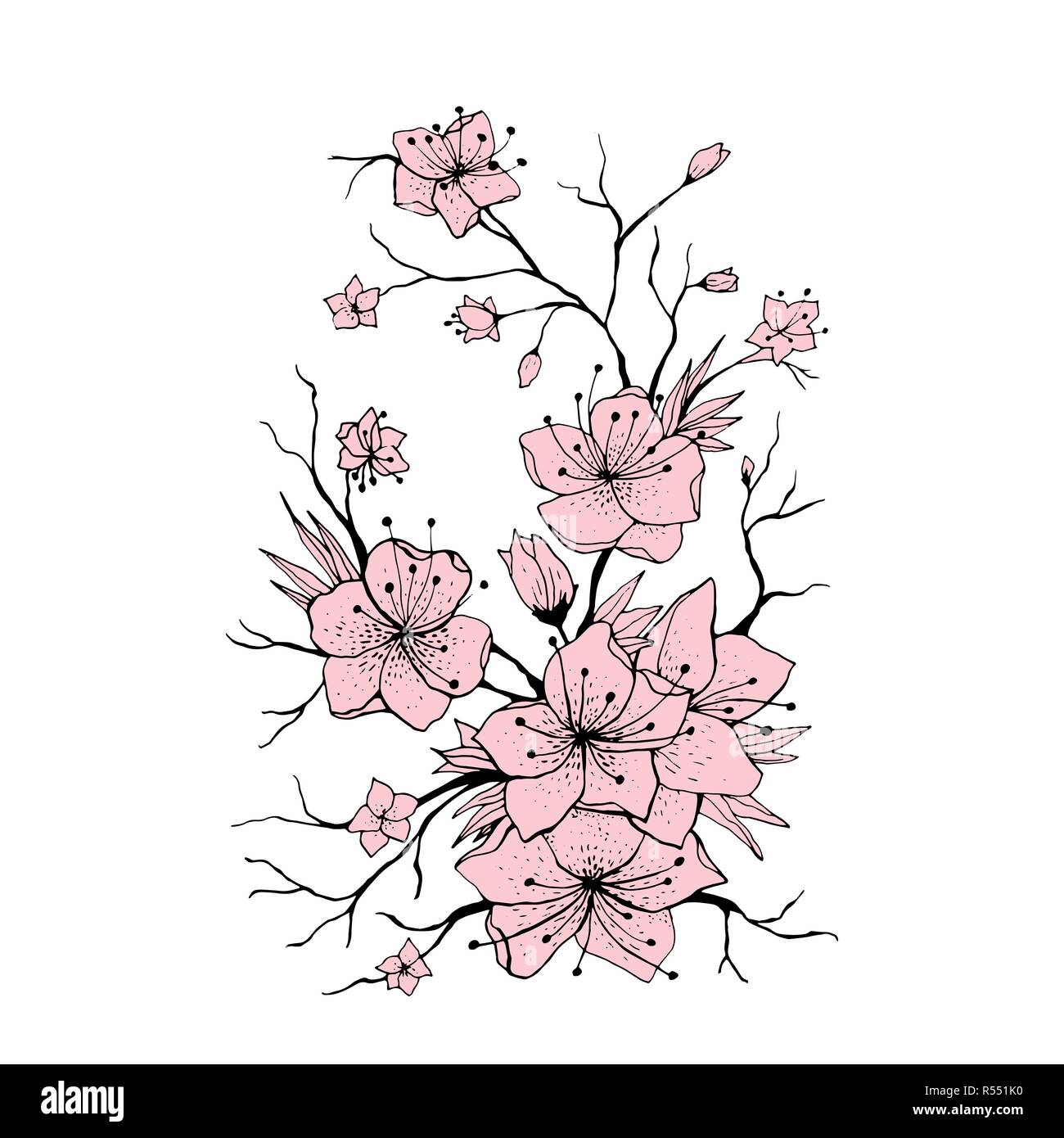 Sakura dessiné à la main la direction générale de l'illustration. Japanese Cherry Tree twig. Fleurs et bourgeons rose sur fond blanc. La direction générale de Sakura avec fleur de cerisier. Poster, logo design floral élément. Vecteur isolé Illustration de Vecteur