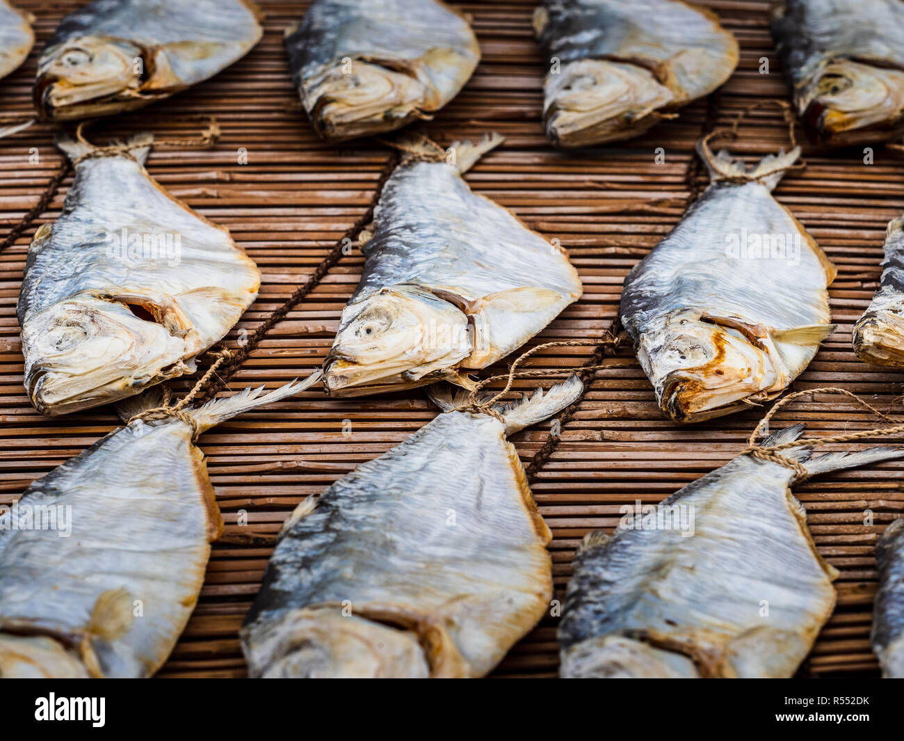 Le séchage du poisson à Hong Kong - les poissons exposés à sécher au soleil dans le village de pêcheurs de Tai O près de Hong Kong, Chine Banque D'Images