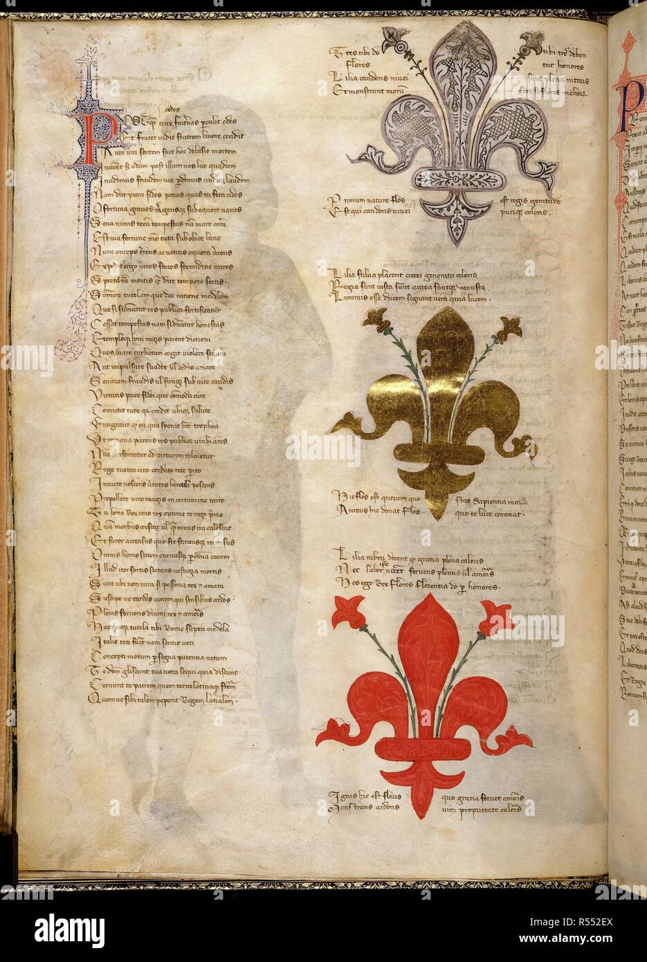 Texte avec trois fleurs de lys dans la marge, dans des couleurs  différentes. L'adresse en vers pour Robert d'Anjou, roi de Naples, de la  ville de Prato en Toscane (la "Regia Carmina').