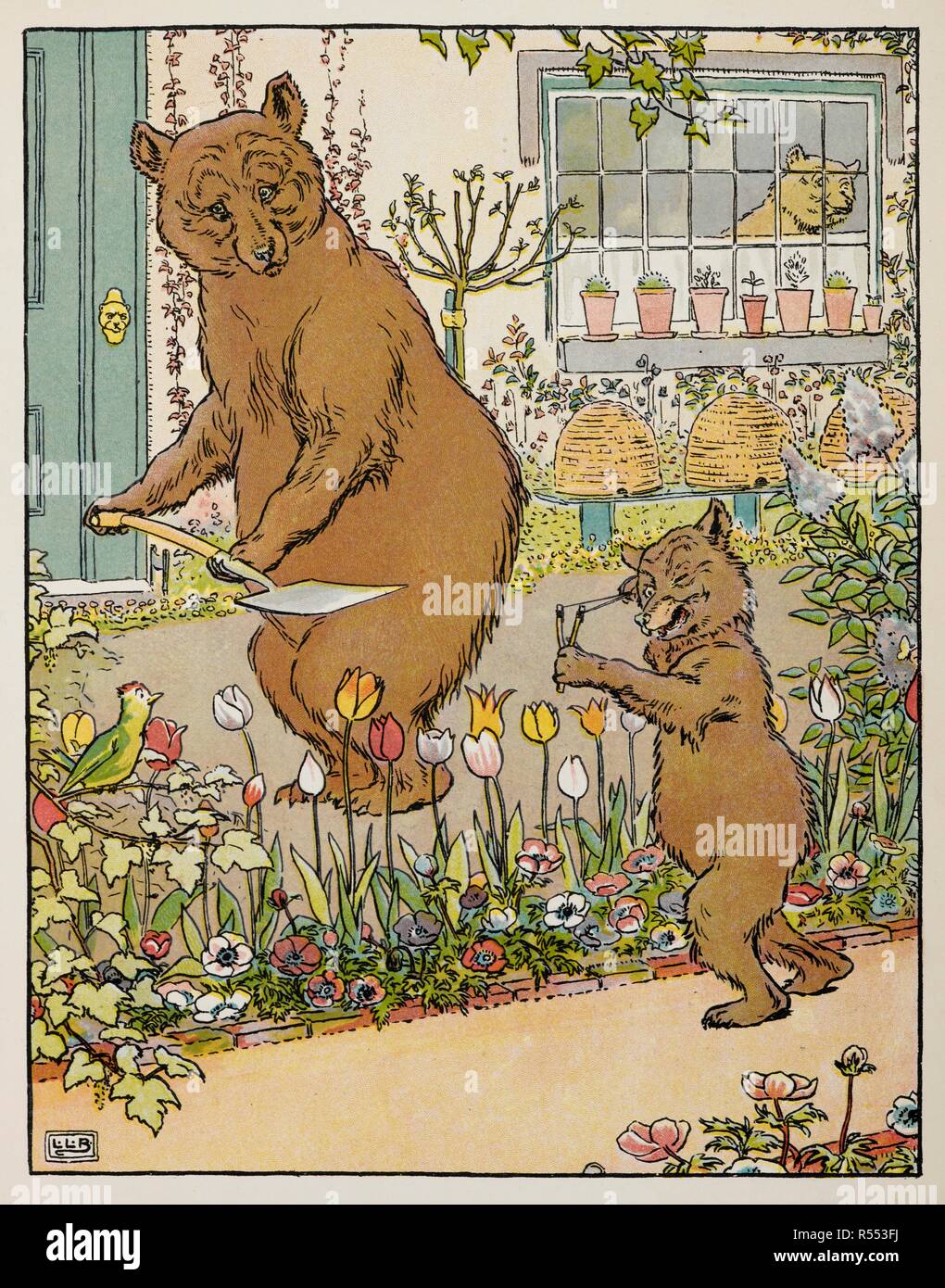 Les trois ours, le jardinage. L'Oie d'Or Livre : en cours de l'histoire de l'Oie d'Or, les trois ours, les 3 petits cochons, Tom Pouce. Avec de nombreux dessins en couleur et noir et blanc par L. L. Brooke. F. Warne & Co. : London & New York, [1905]. Source : 12812.b.52. Author : Brooke, L. Leslie. Banque D'Images