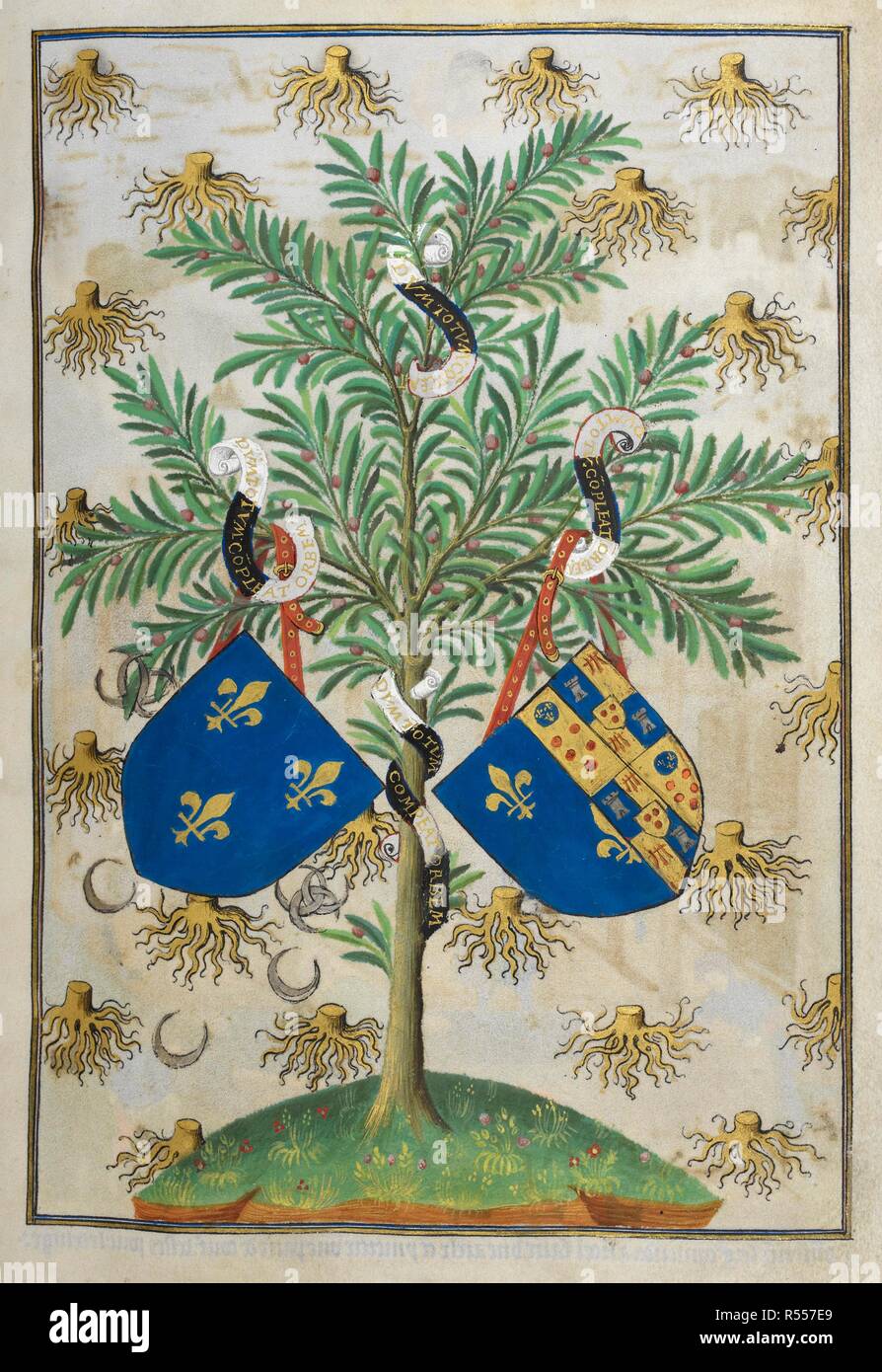 Page d'emblèmes héraldiques, décoré avec les golden racines, le badge personnel du duc de Bedford, adopté par lui pour refléter le rébus d'Édouard de Woodstock, le Prince Noir, et l'if, la direction générale de l'insigne de la Duchesse de Bedford. Les deux boucliers d'armes, à l'origine du duc et de la Duchesse, ont peint une avec celles du roi Henri II de France et Marie de Médicis, qui possédait le manuscrit dans le 16e siècle. Heures de Bedford. Paris ; 1414-1423. Source : ajouter. 18850, f.15. Langue : le latin et le français. Author : atelier du maître du duc de Bedford. Banque D'Images