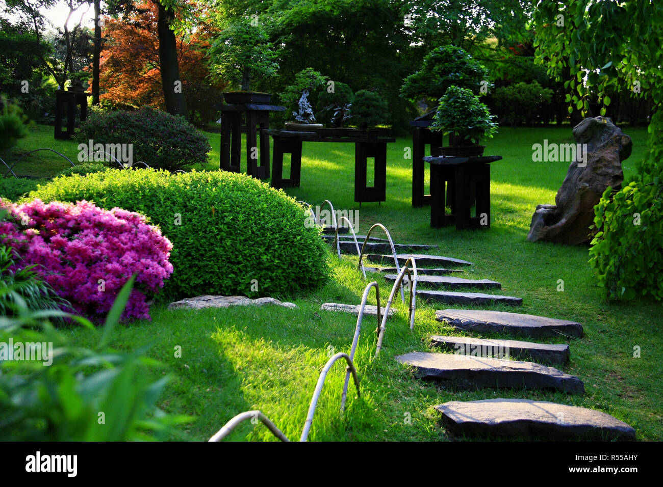 Sentier pierreux décoré de bonsaïs dans jardin avec la lumière du soleil pénètre Banque D'Images