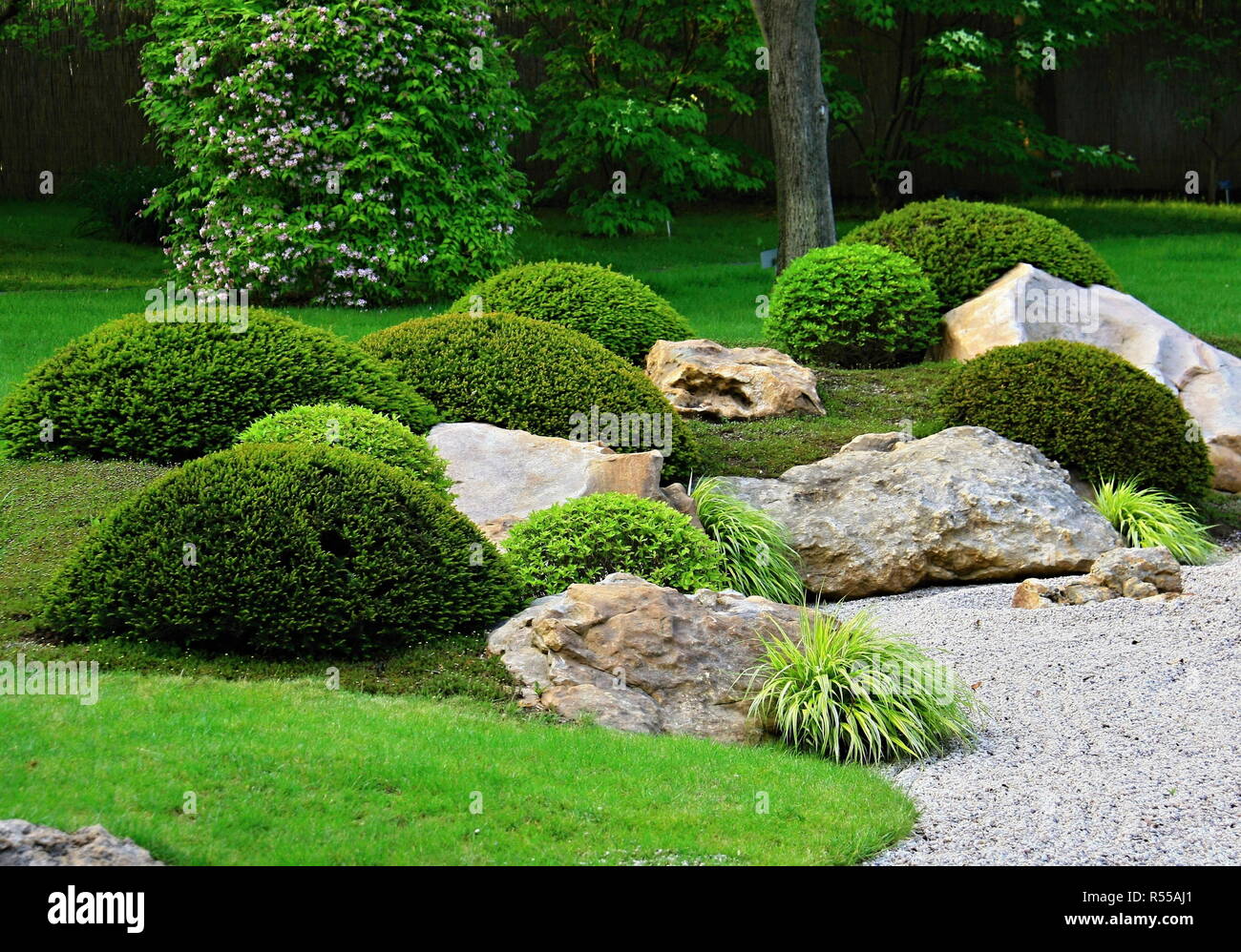 Rock Zen-Jardin avec arbustes bas Banque D'Images