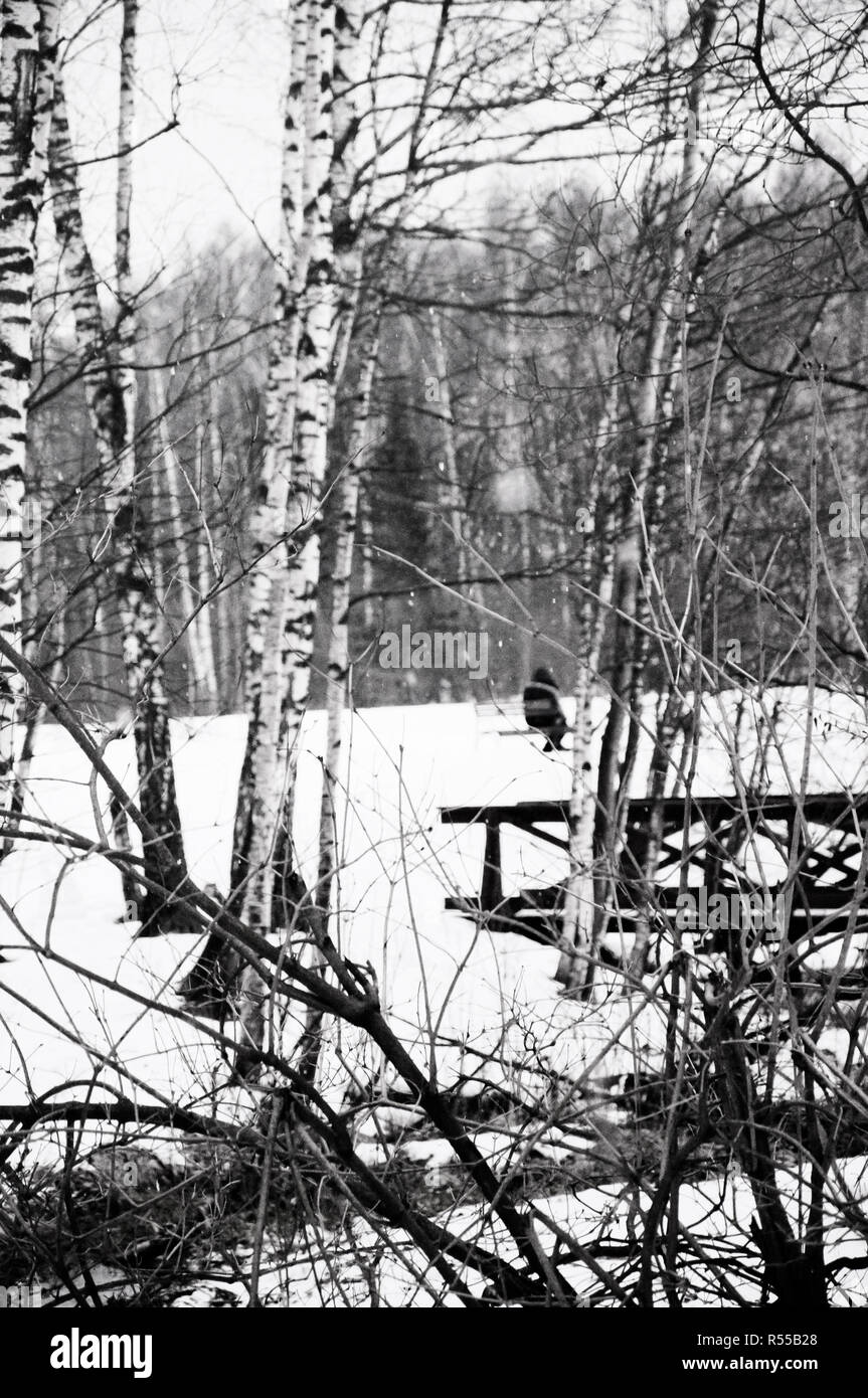 Paysage d'hiver, noir et blanc photo Banque D'Images