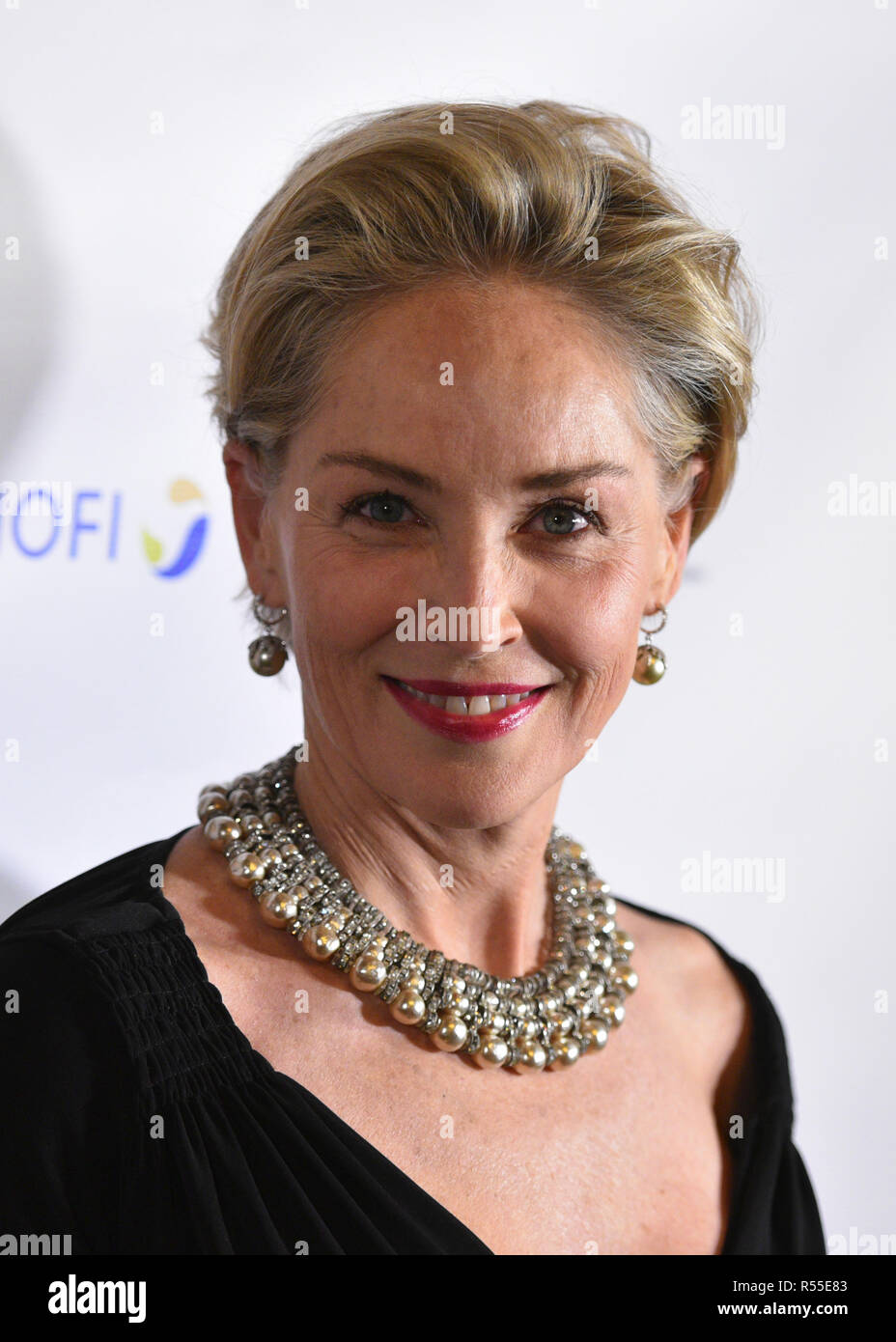 Sharon Stone assiste à la Drugs for Neglected Diseases Initiative Décisions inaugural de l'histoire médicale à l'hôtel Bowery gala le 24 octobre 2018 dans le Ne Banque D'Images