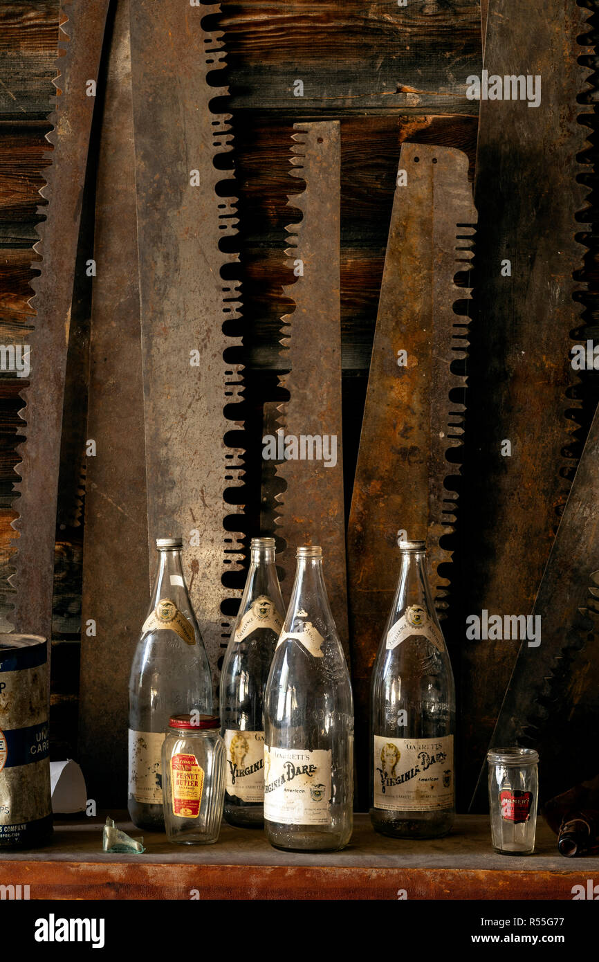 Tm00253-00...MONTANA - Les bouteilles et les lames de scie à Frank A. Davey's Store dans la ville fantôme de grenat. Banque D'Images