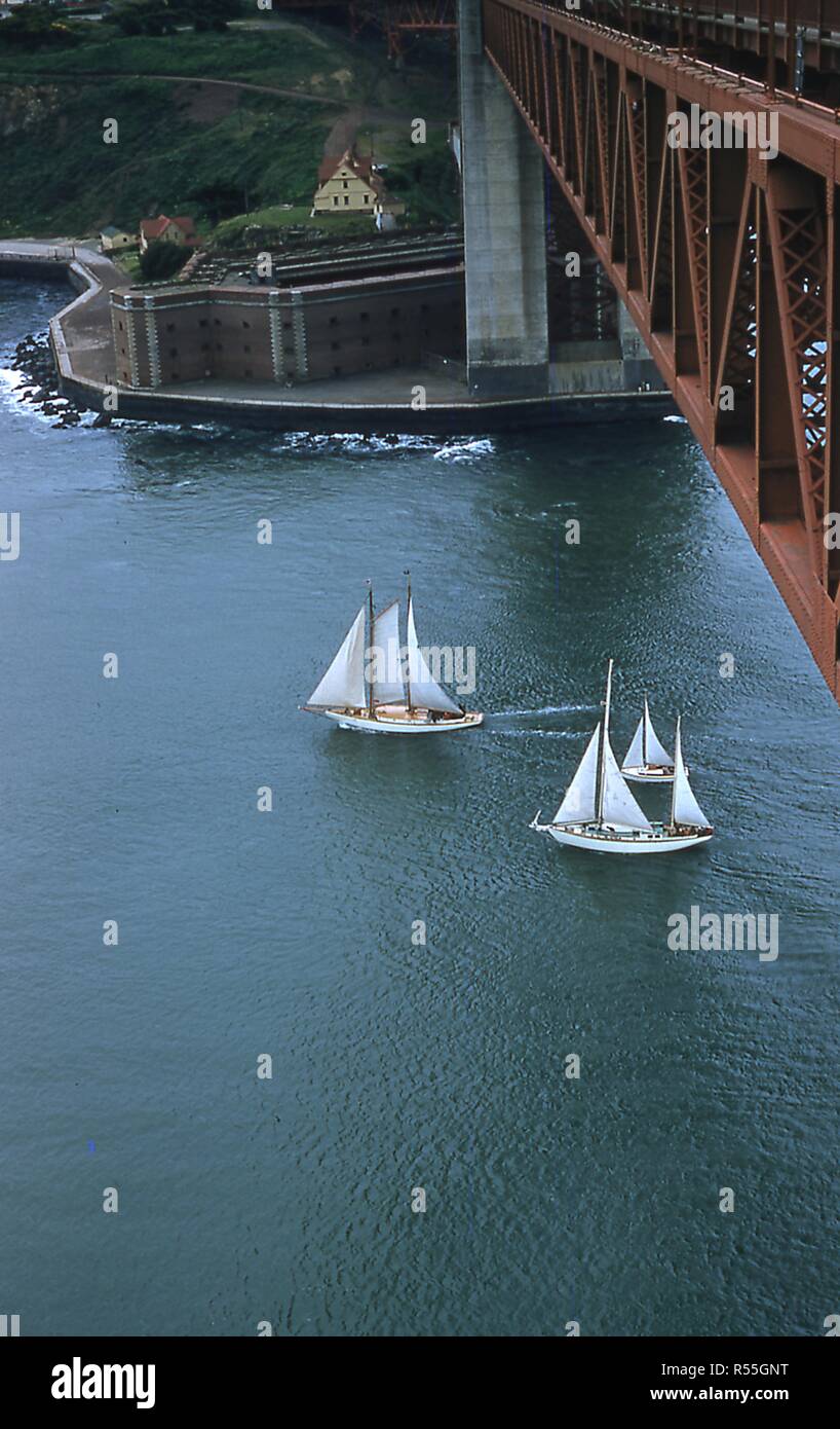 Vue plein sud de voiliers en bois la croisière sous le Golden Gate Bridge vers l'est dans la baie de San Francisco, dans le cadre du Pacific Yacht Inter-Club Association (PICYA) Jour de l'ouverture de la Parade, à San Francisco, Californie, le 30 avril 1955. Dans l'arrière-plan Marine Drive est visible jusqu'à la forteresse historique de Fort Point au rivage. () Banque D'Images