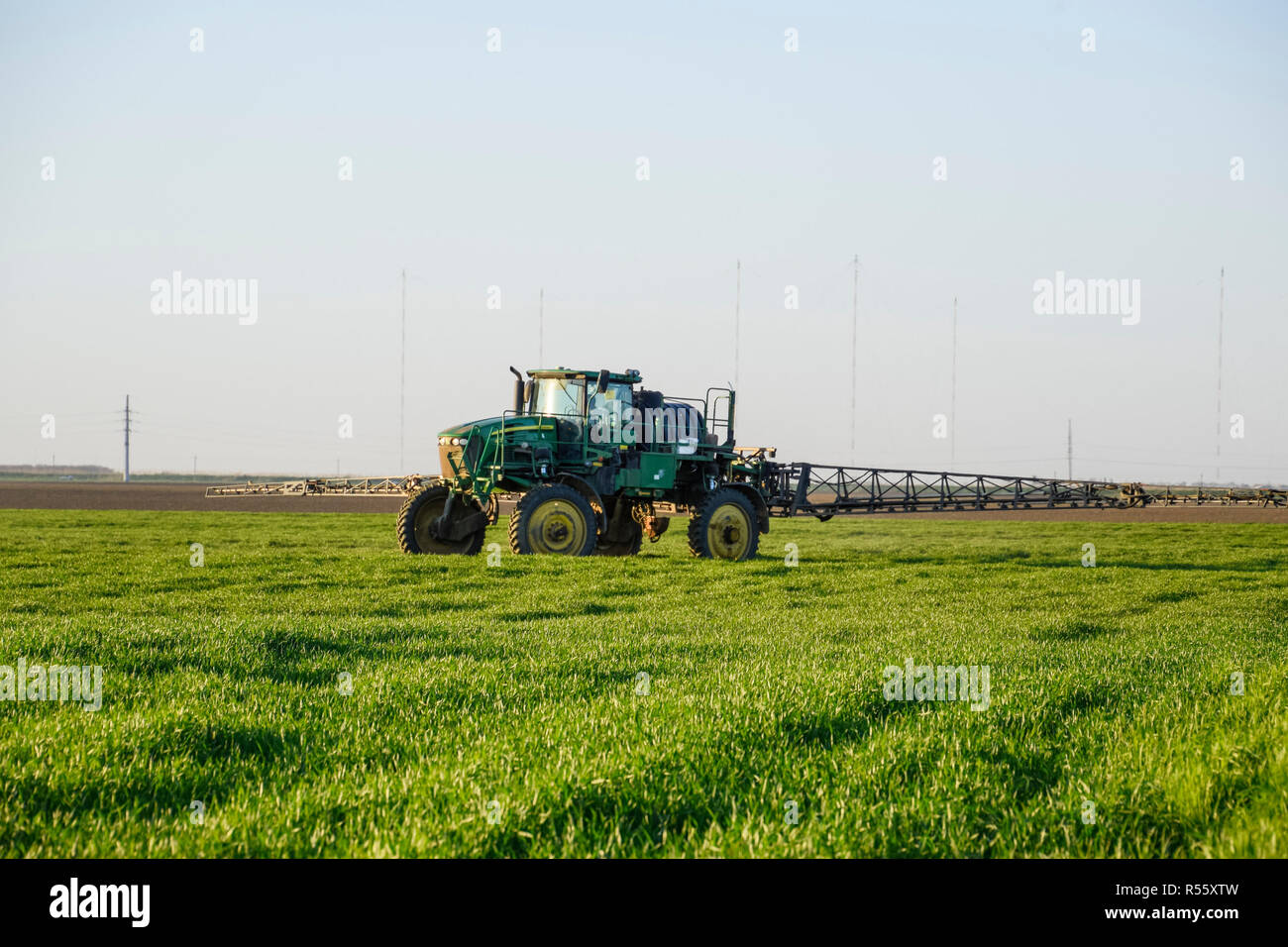 Le tracteur sur le fond coucher de soleil. Tracteur avec grandes roues est faire engrais sur les jeunes le blé. L'utilisation de produits chimiques pulvériser finement dispersées Banque D'Images