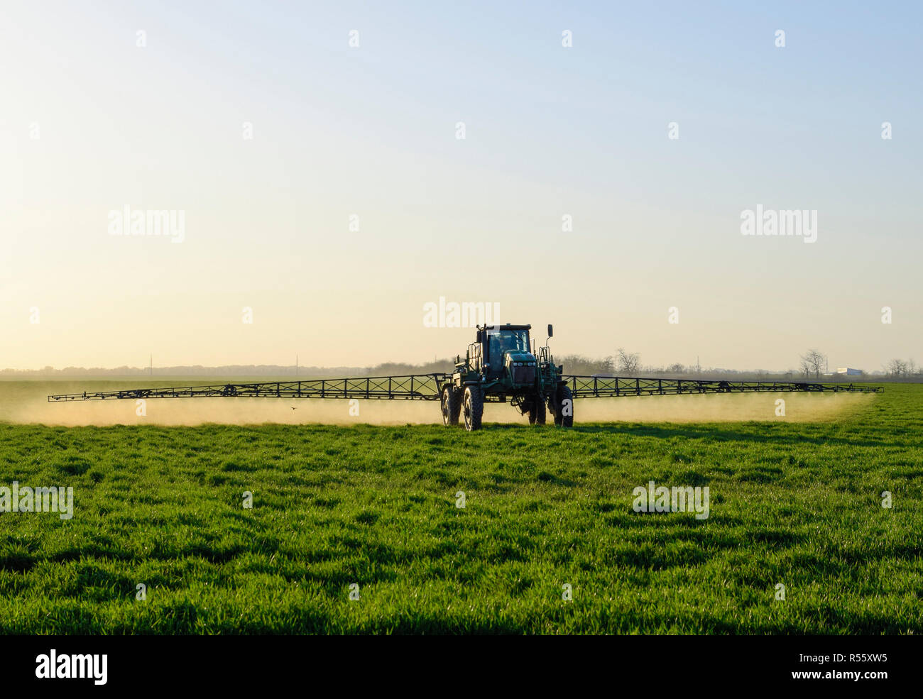 Le tracteur sur le fond coucher de soleil. Tracteur avec grandes roues est faire engrais sur les jeunes le blé. L'utilisation de produits chimiques pulvériser finement dispersées Banque D'Images