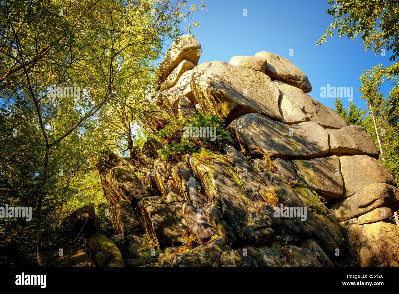 Rock formation avec des structures bizarres dans la forêt de la montagne. Vu dans les montagnes du Harz en Allemagne. Banque D'Images