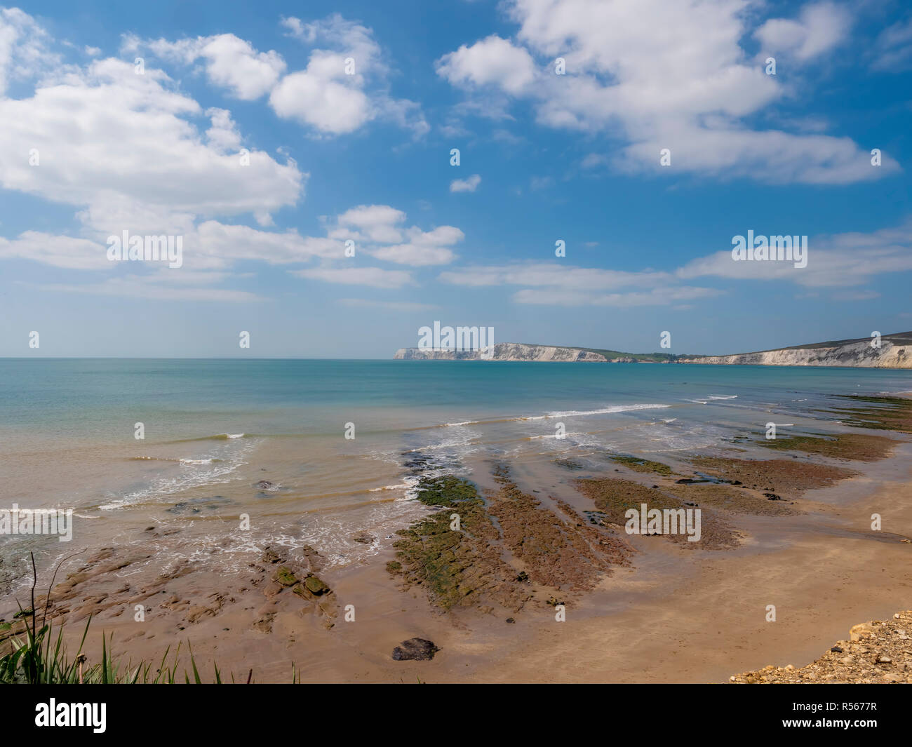 En été, l'île de Wight, Angleterre, Royaume-Uni. Banque D'Images