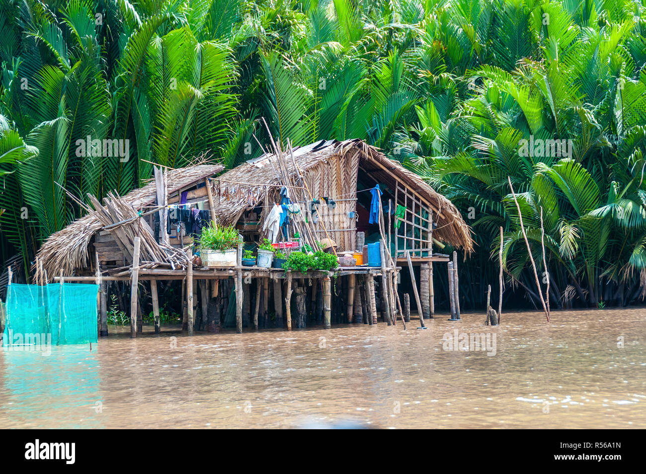 Maison sur pilotis traditionnelle vietnamienne construit sur poteaux en bois et en bambou, rotin et canne sur la rivière Cai Rang, Province de Can Tho, Vietnam du Sud Banque D'Images