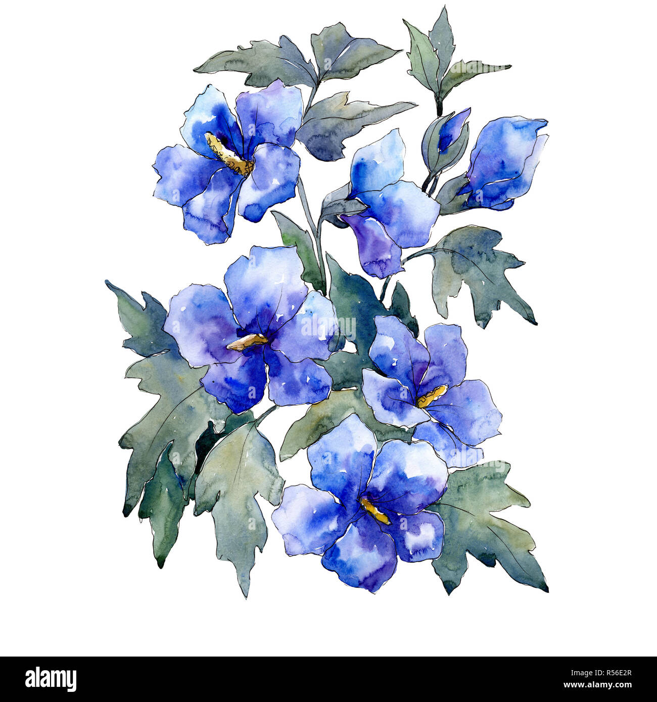 Bouquet de fleurs bleues sur fond blanc. Illustration à l'aquarelle.  Bouquet isolé de l'élément d'illustration Photo Stock - Alamy