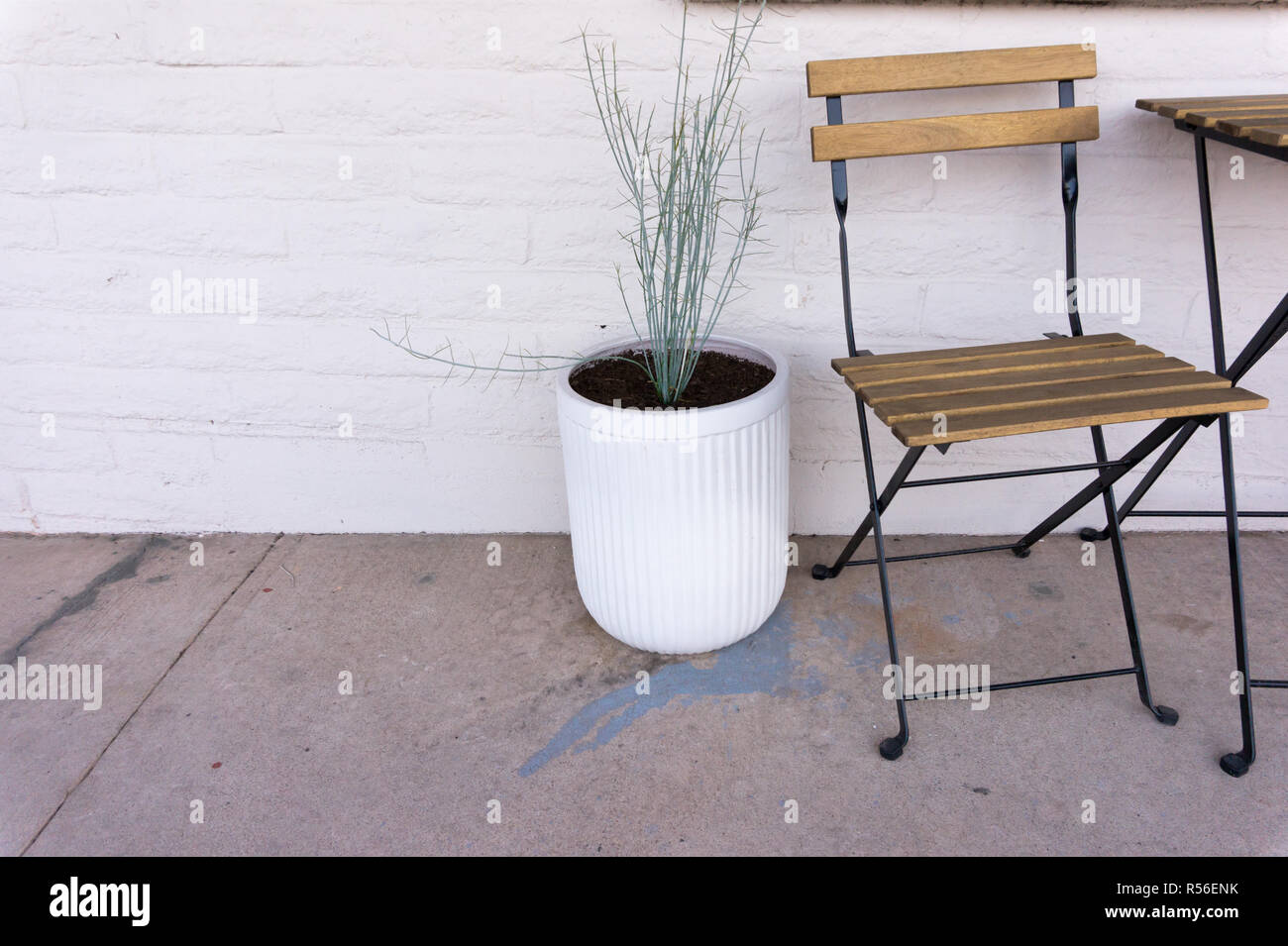 Une belle table et chaise de style vintage et un dessert plante dans un pot blanc contre un établissement moderne et élégant mur de briques blanches. Prix pour copie. Banque D'Images
