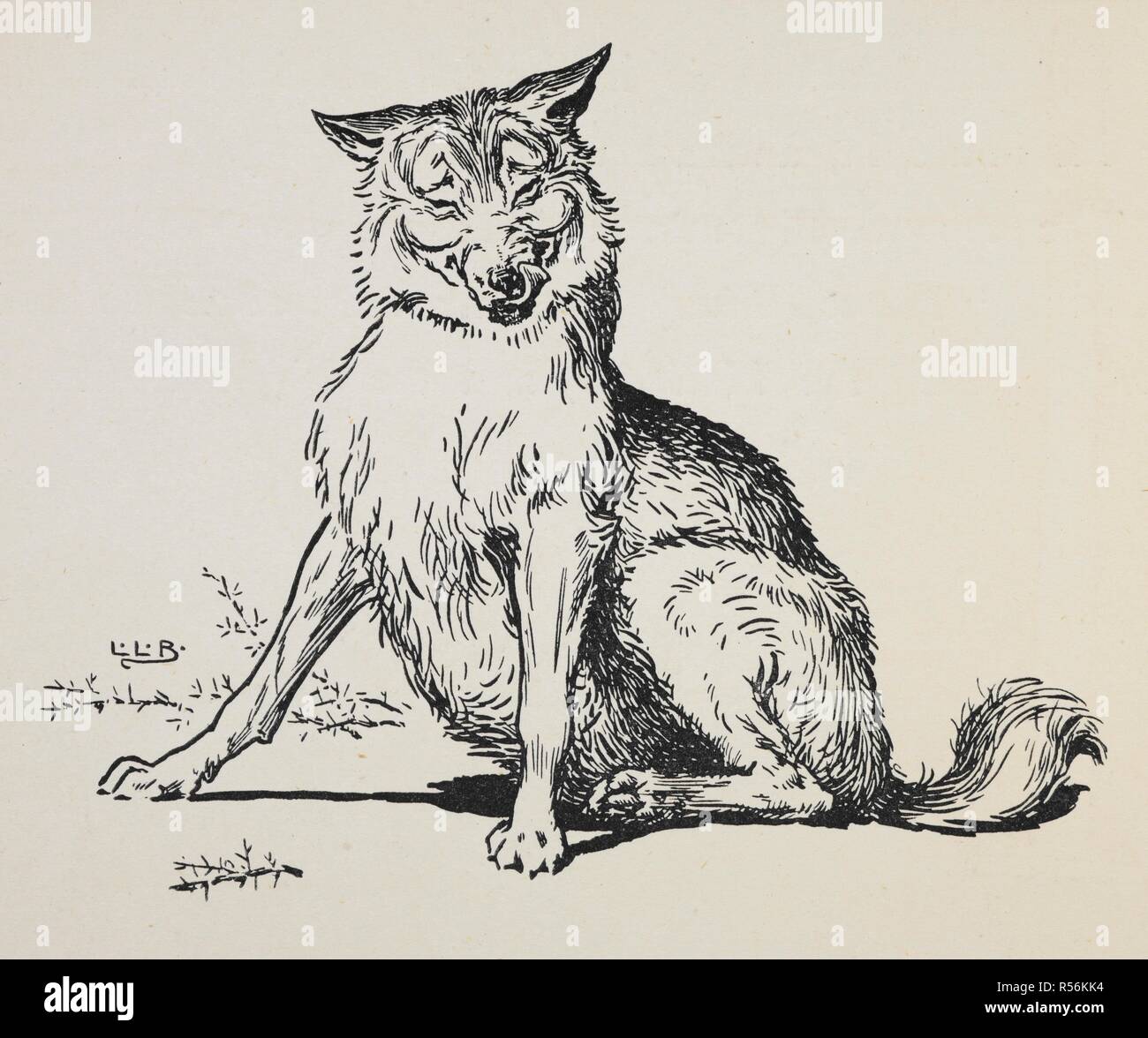 Le grand méchant loup. L'Oie d'Or Livre : en cours de l'histoire de l'Oie d'Or, les trois ours, les 3 petits cochons, Tom Pouce. Avec de nombreux dessins en couleur et noir et blanc par L. L. Brooke. F. Warne & Co. : London & New York, [1905]. Source : 12812.b.52. Author : Brooke, L. Leslie. Banque D'Images