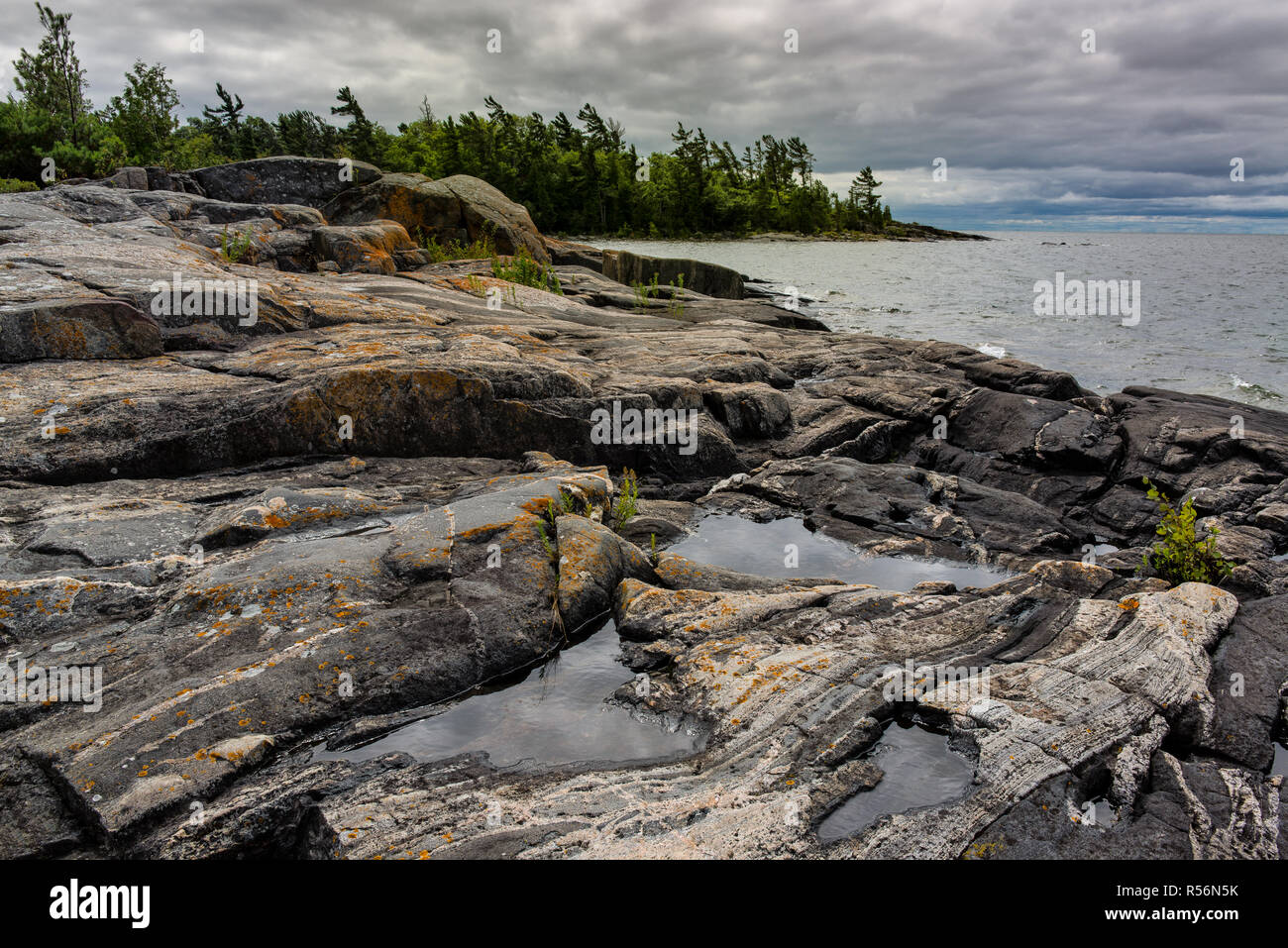 Multibanded les roches de gneiss sur le rivage d'une île parmi les 30 000 de l'archipel de l'île de la baie Georgienne, en Ontario, Canada. 'Bannière' arbres hav Banque D'Images