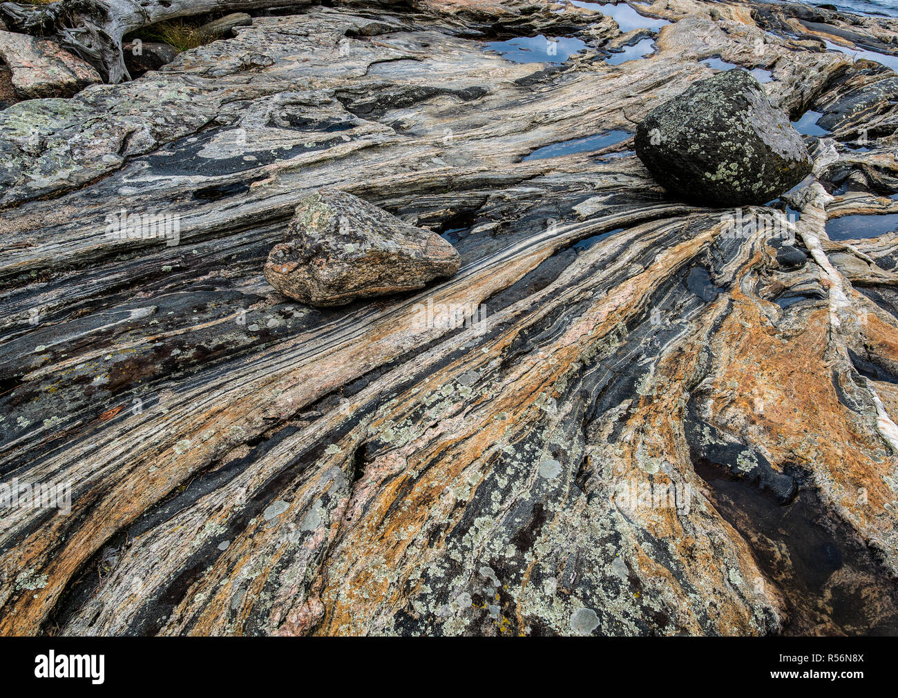 Des rochers se trouvant sur dalle de gneiss à bandes multiples le long de la côte d'une île dans l'île de 30 000 Région de la baie Georgienne, au Canada. Les roches sont une partie de Banque D'Images