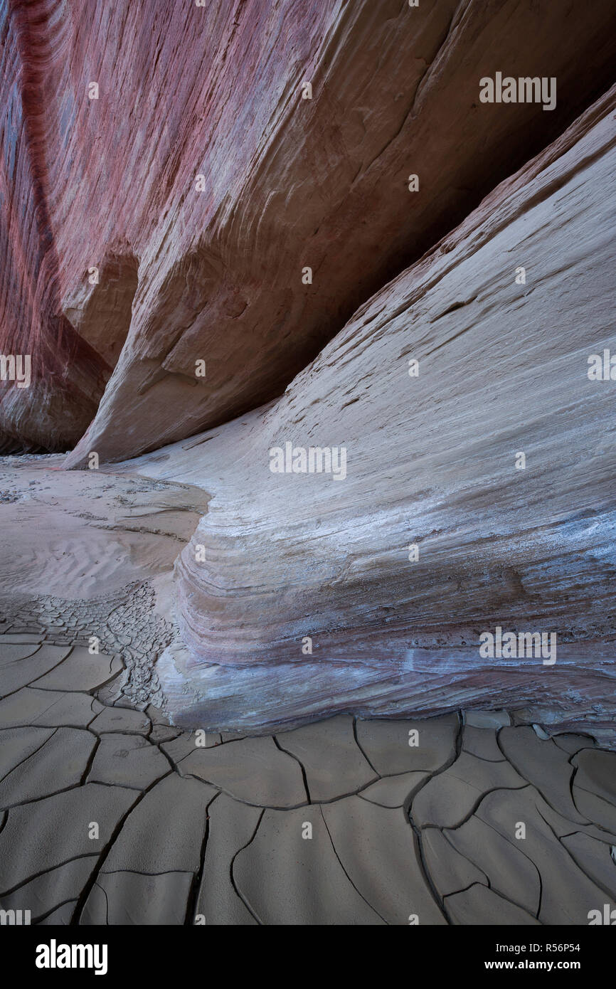 La boue craquelée, vernis du désert, et pour rendre windows canyon une partie intéressante de Paria Canyon dans l'Utah. USA Banque D'Images