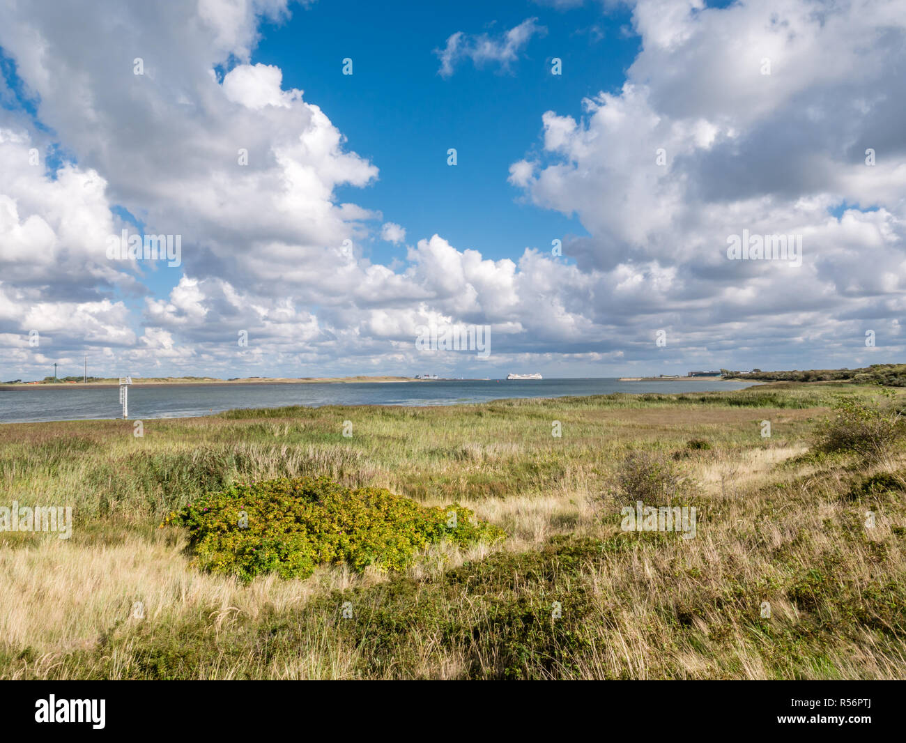 Panorama des marais salés de Mokbaai, l'entrée de l'Ouest sur la mer des Wadden Texel île frisonne, Pays-Bas Banque D'Images