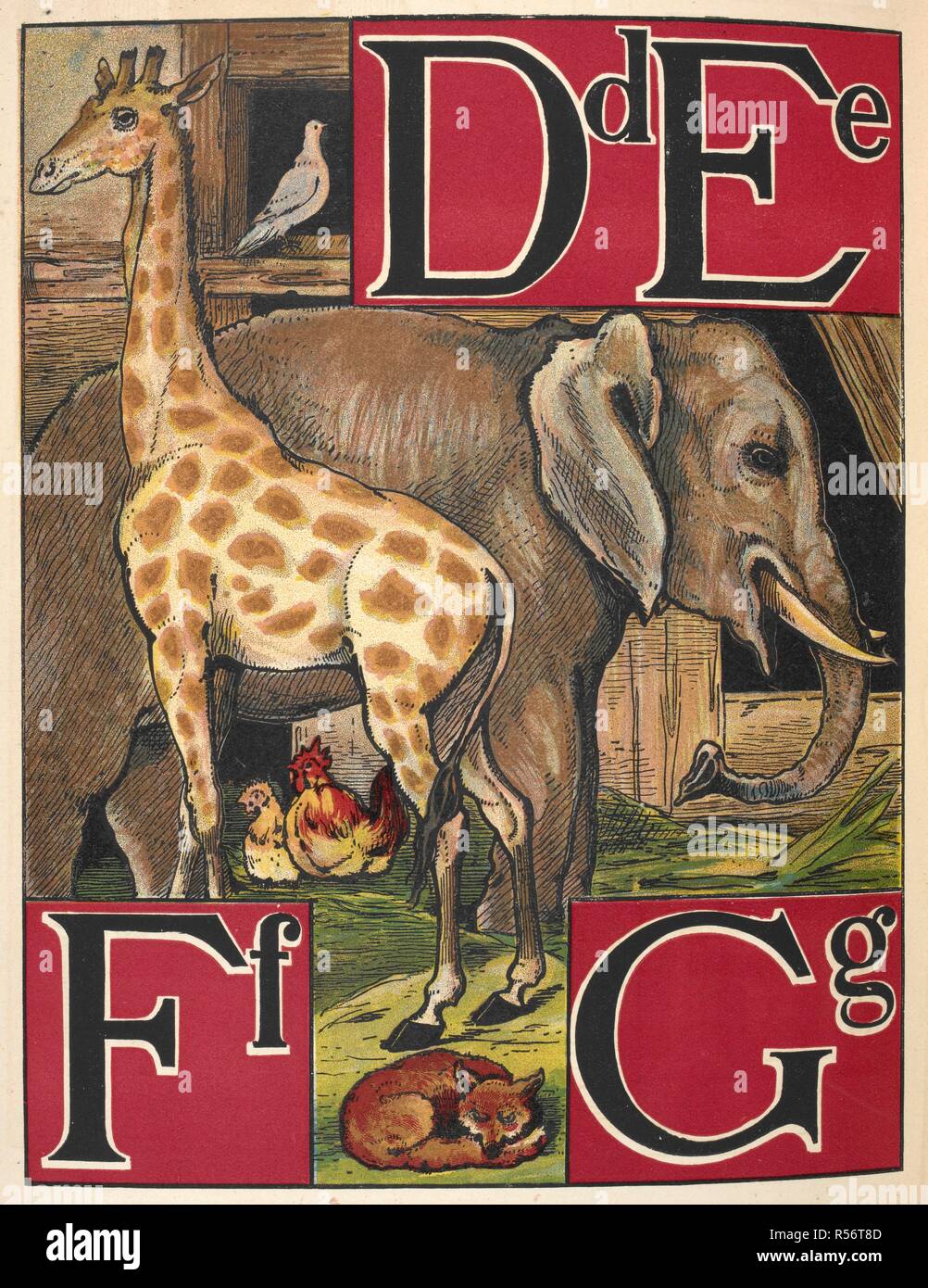giraffe 19th century banque d image et photos alamy