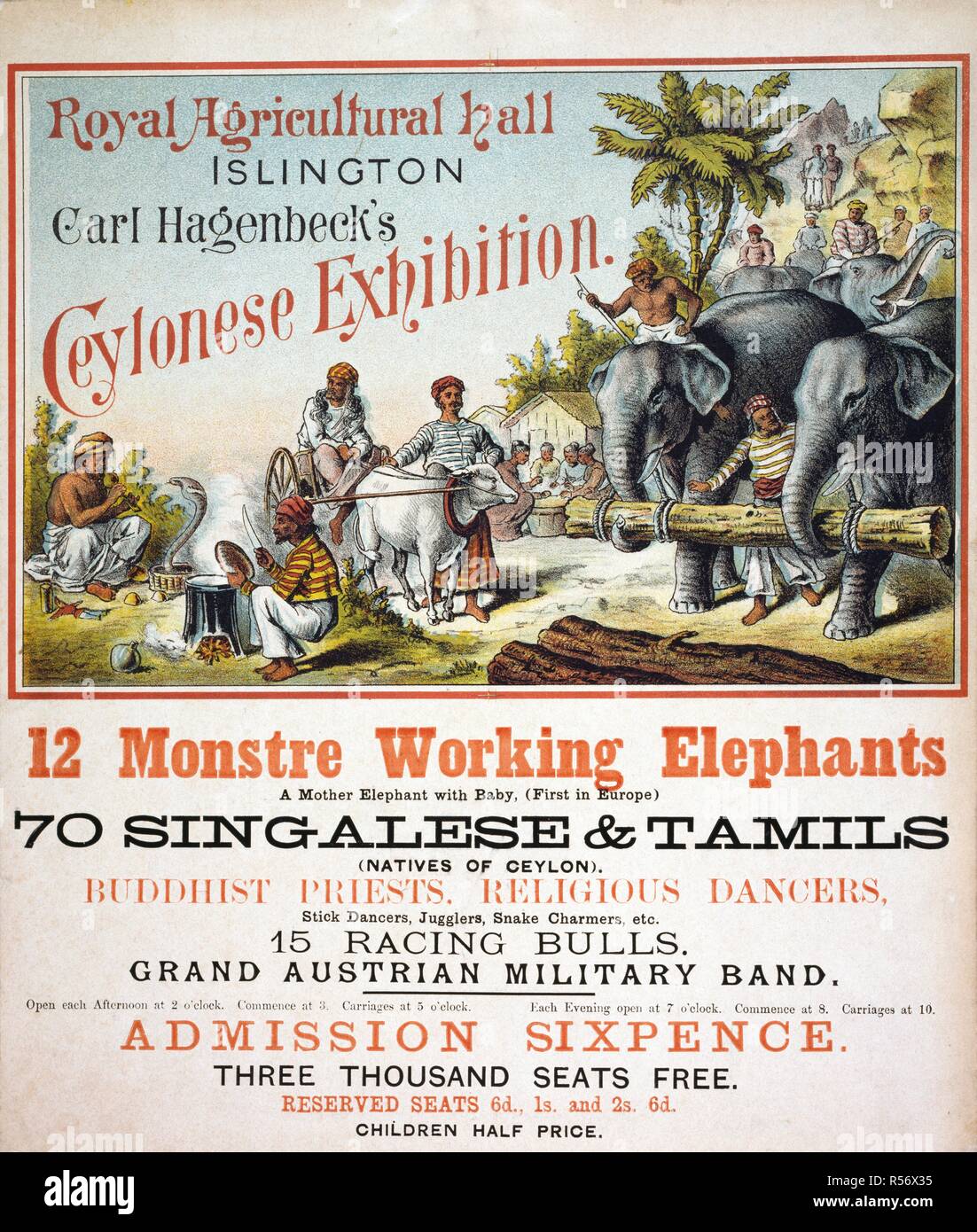 Royal Agricultural Hall Islington Carl Hagenbeck 16 L Exposition Ceylanais 12 Travail Monstre Elephants Une Mere Avec Bebe Elephant Premiere En Europe 70 Singalese Tamouls Originaires De Ceylan Les Pretres Bouddhistes