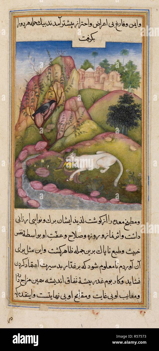 Le perfide cat. L'Anvar-i Suhayli. L'Inde, 1610-1611. Le perfide cat tuant les perdrix et les cailles. Une peinture miniature d'un manuscrit du 17ème siècle de l'Anvar-i Suhayli, une version de l'Kalila va Dimna fables. Image prise à partir de l'Anvar-i Suhayli. Publié à l'origine/produit en Inde, 1610-1611. . Source : ajouter. 18579, f.209v. Langue : Persan. Auteur : Husayn Va'iz Kashifi. Hariya. Banque D'Images