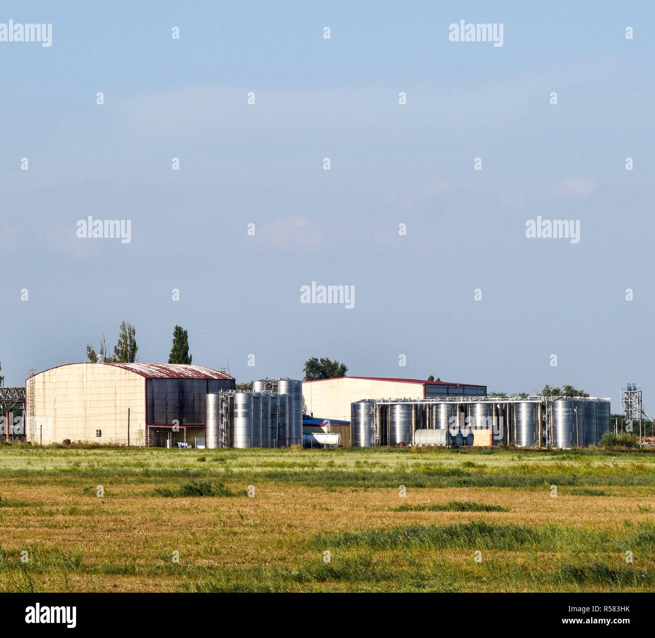 Sur l'usine de production de vin. Les citernes pour préparation de champagne Banque D'Images
