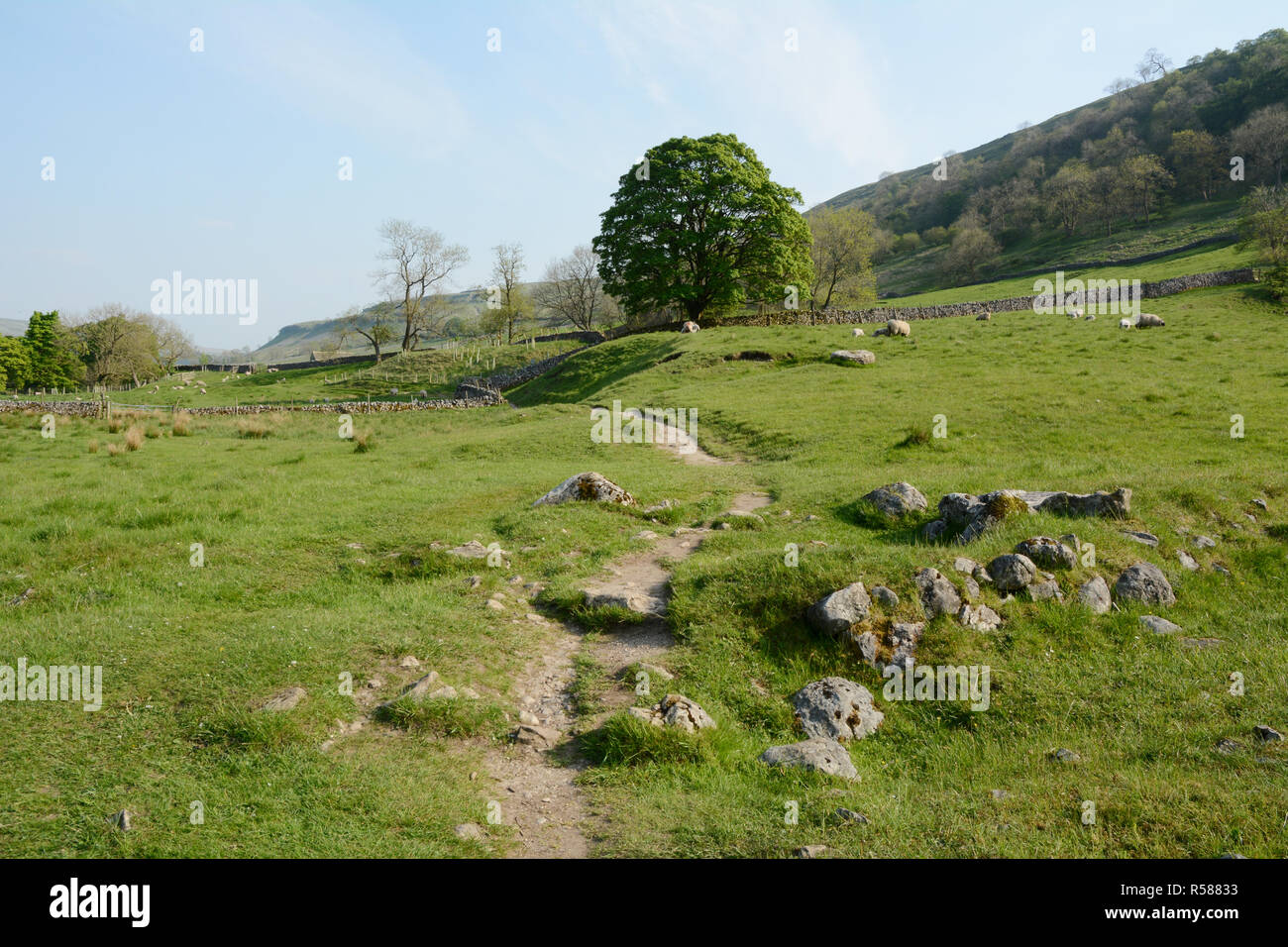 Les Yorkshire Dales Way sentier de randonnée pédestre serpentant à travers la vallée de la rivière Wharfe, près de with Starbotton, dans le Nord de l'Angleterre, Grande-Bretagne. Banque D'Images