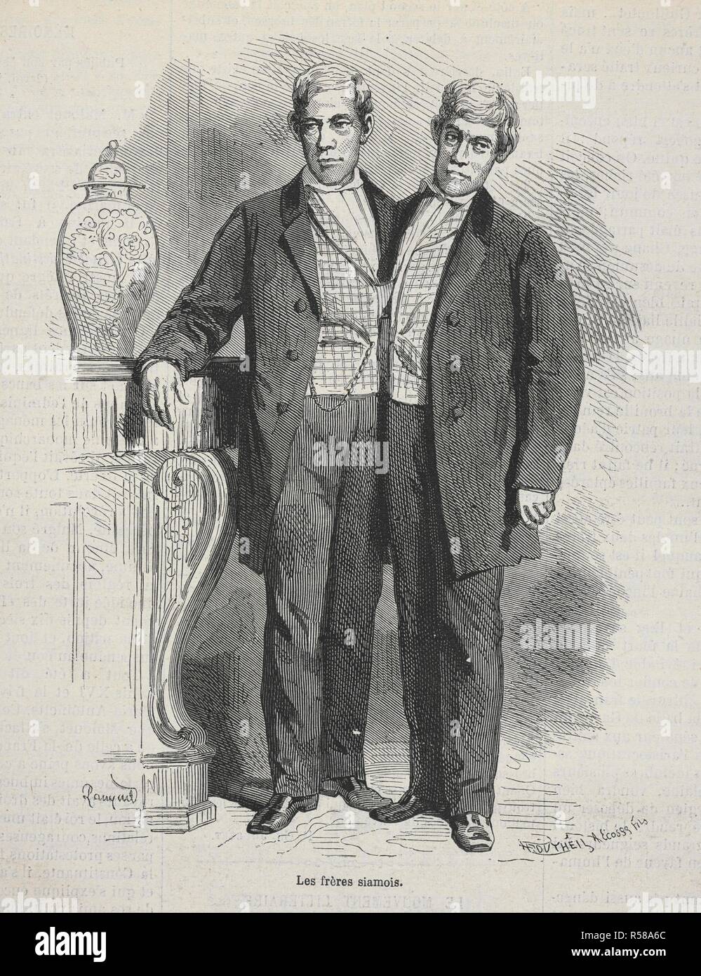 Les Fréchette¨res Siamois.' Chang et Eng Bunker (le 11 mai 1811 â€" Janvier 17, 1874) ont été Thai-American frères jumeaux siamois dont l'état et le lieu de naissance est devenu la base de l'expression 'Siamese twins'. L'illustration : journal universel. Paris : J.J. Dubochet, Berlin (Ouest) 1948-1990 brillant. (1868). Source : LOU.F63, vol.II, page 189. Banque D'Images