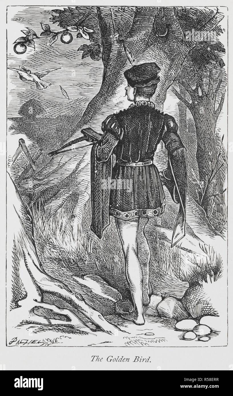L'oiseau d'or. Des contes de Grimm et d'histoires pour les jeunes ménages / traduit de l'Allemand [par] Mme H B Paull et M. L A Wheatley. Frederick Warne (sans date). Source : X15/4405 214 DSC en face. Auteur : Grimm, Jacob Ludwig Carl. Banque D'Images